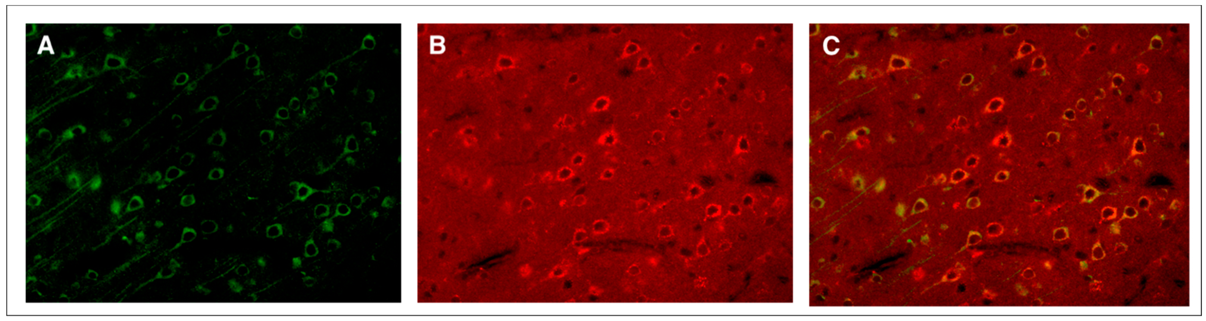 Receptors 02 00015 g001