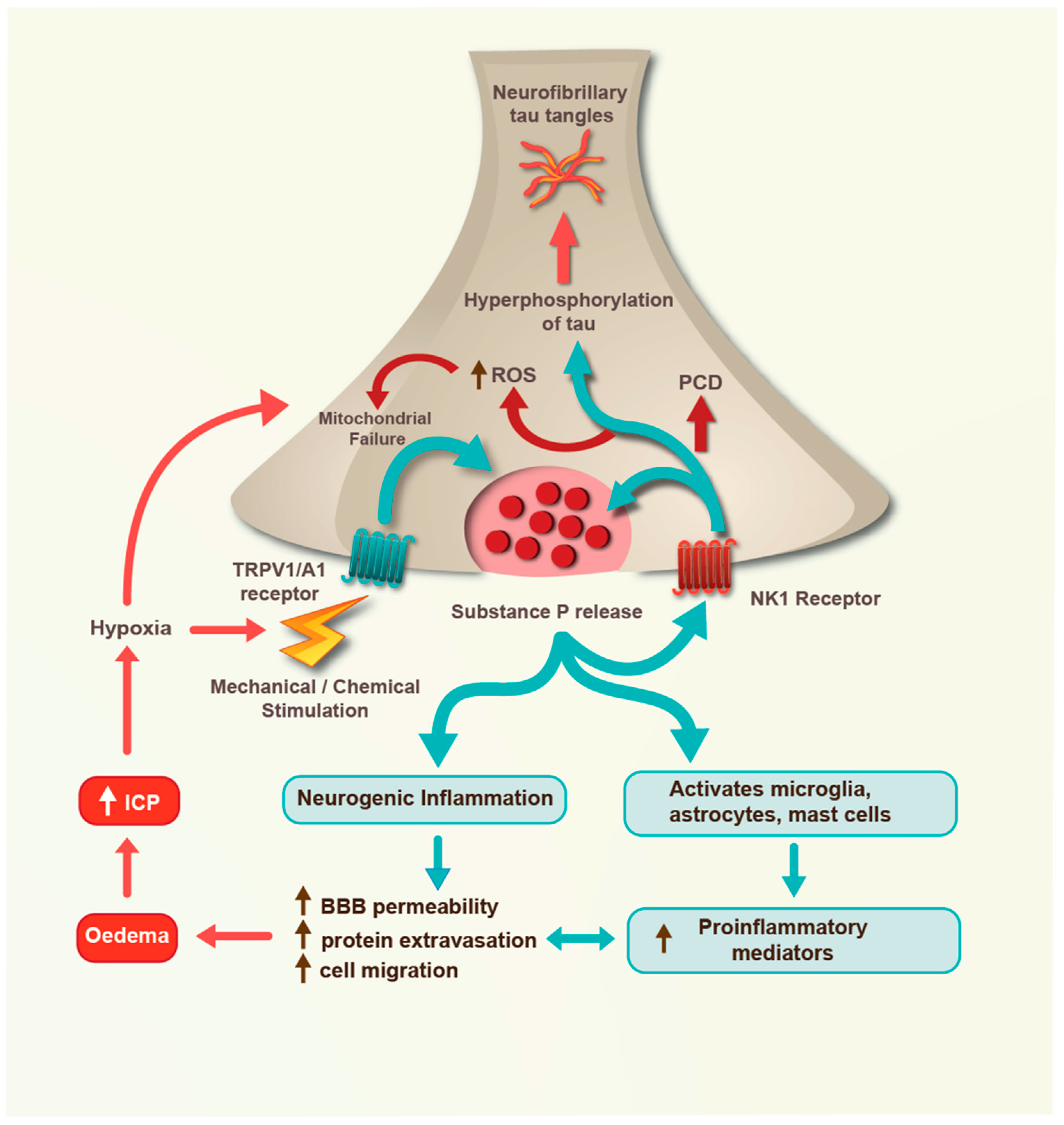 Receptors 02 00015 g002