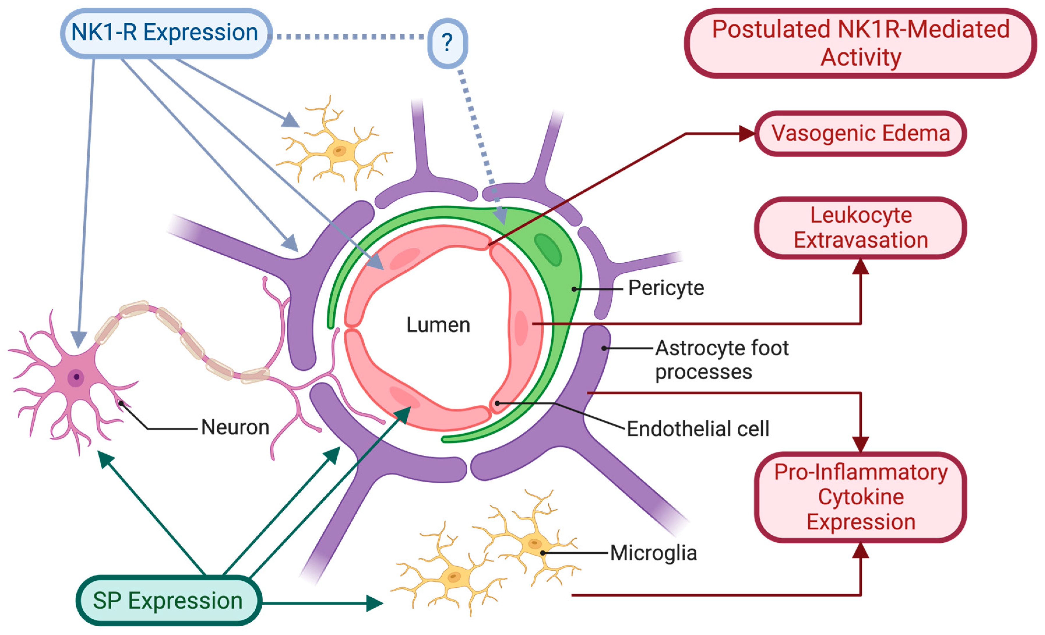 Receptors 02 00016 g001 Receptors 02 00016 g001