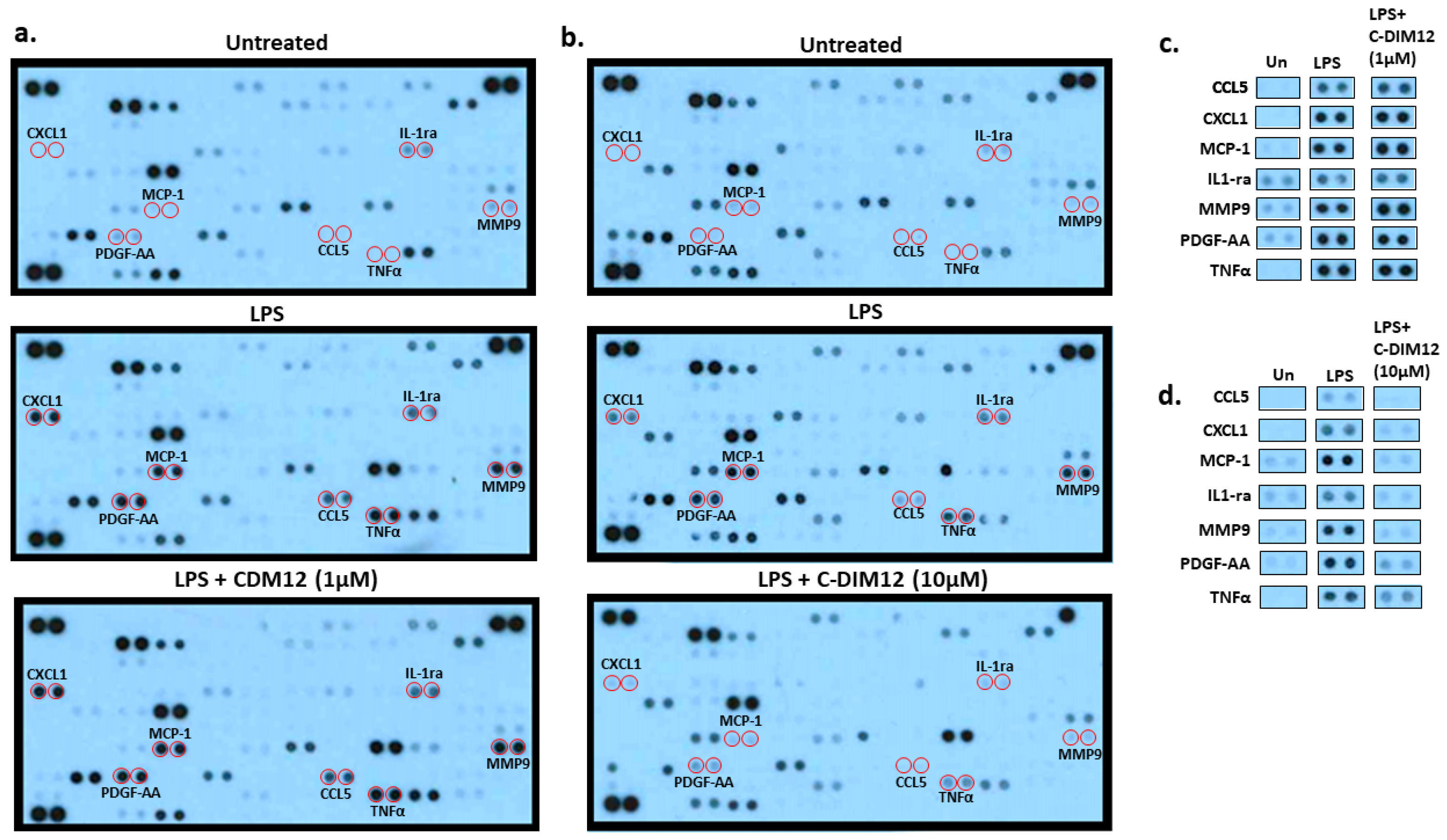 Receptors 02 00018 g001
