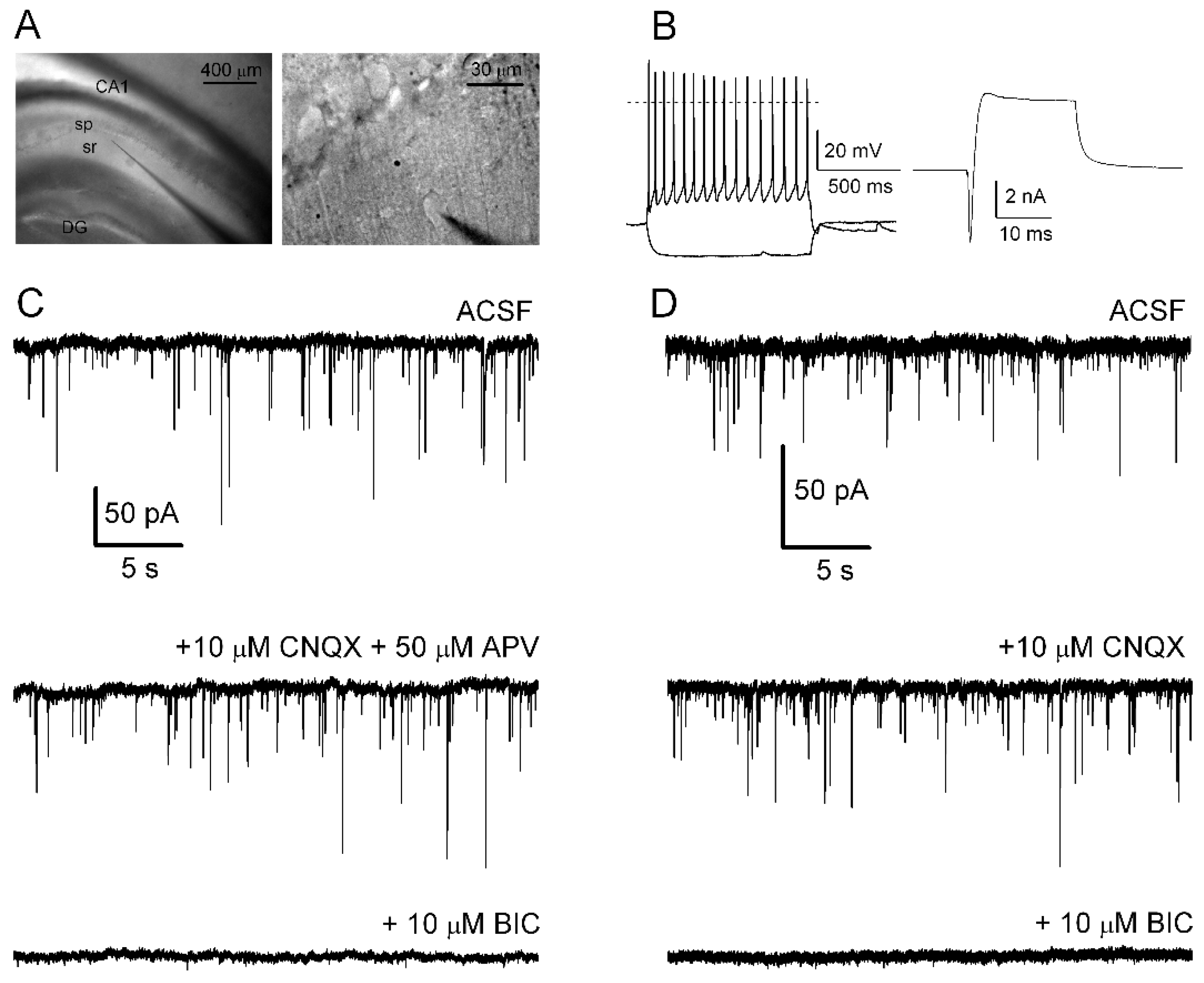 Receptors 03 00001 g001