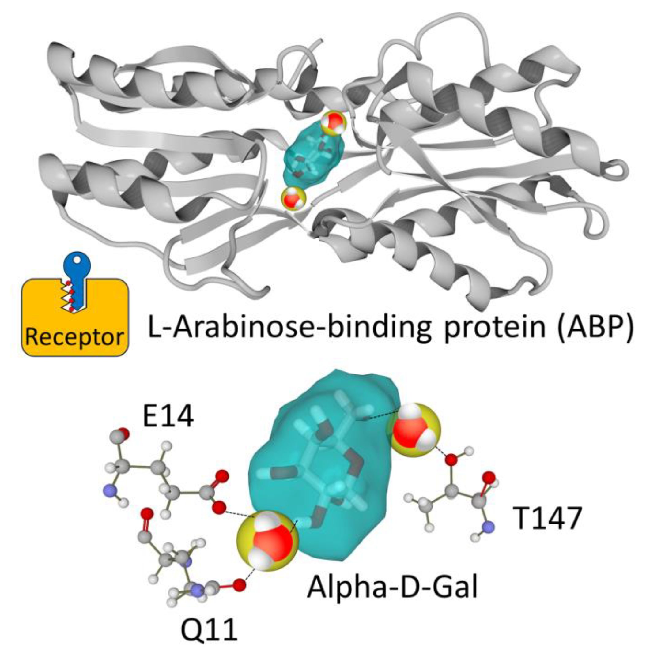 Receptors 03 00006 g002