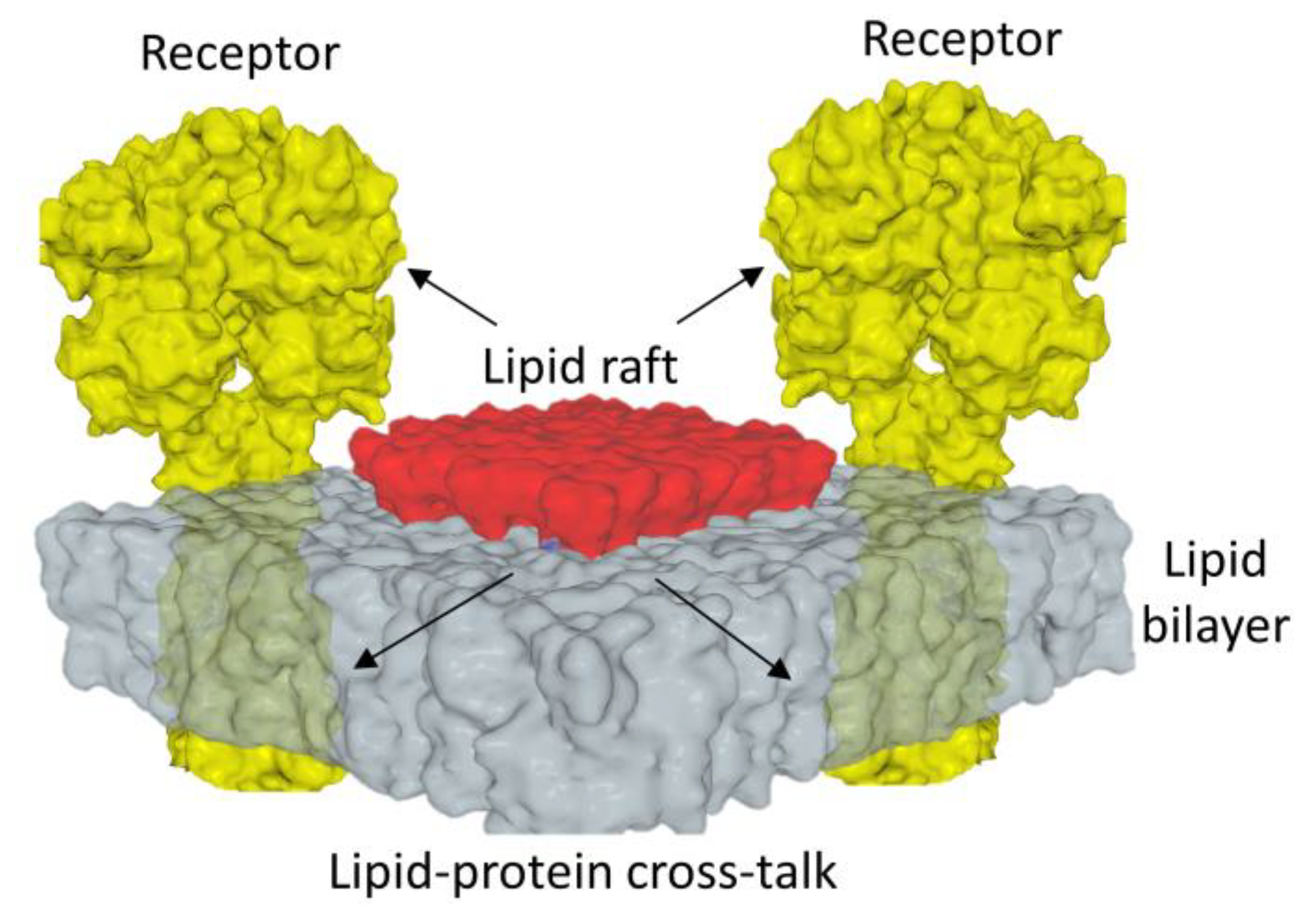 Receptors 03 00006 g003