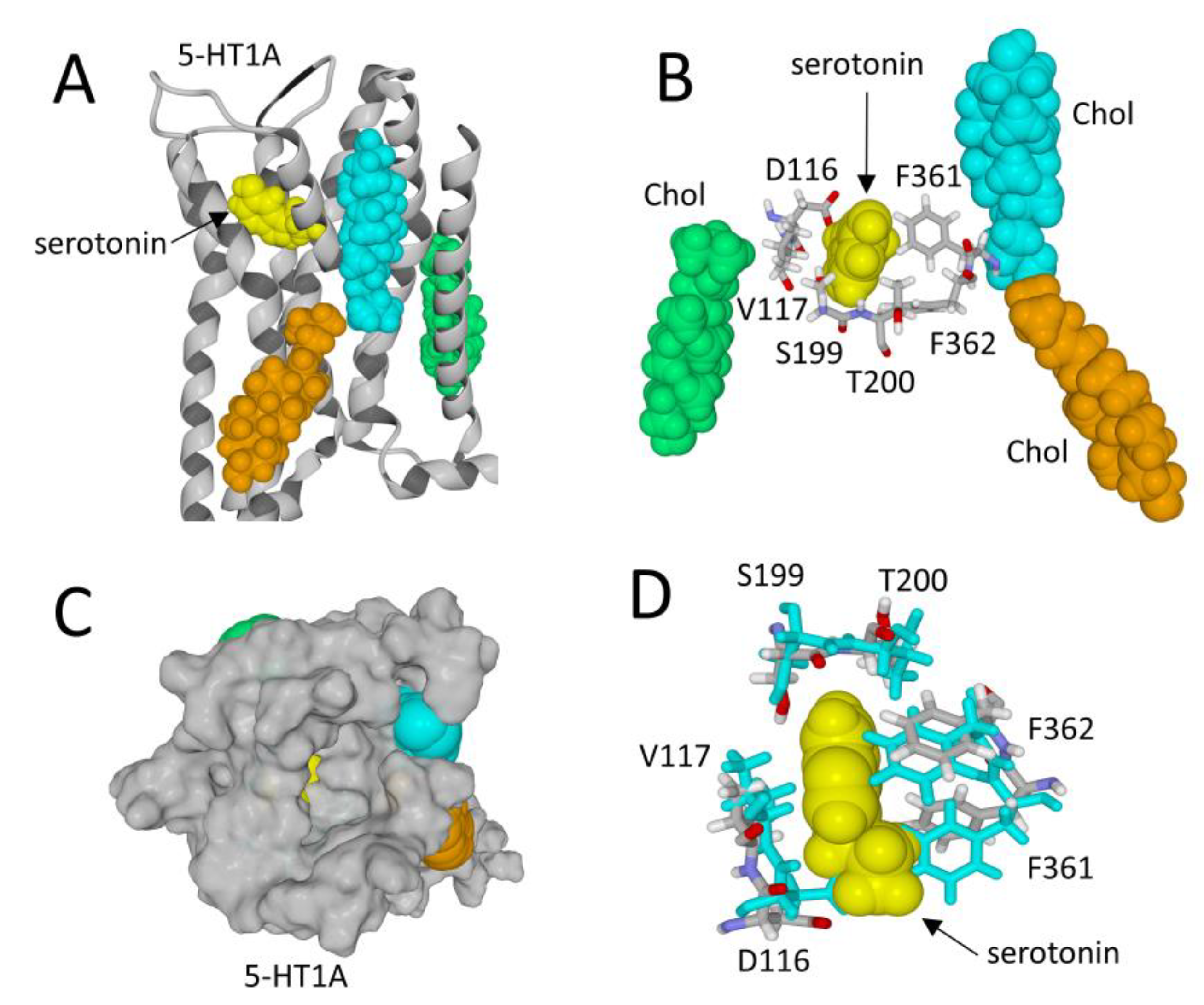 Receptors 03 00006 g004