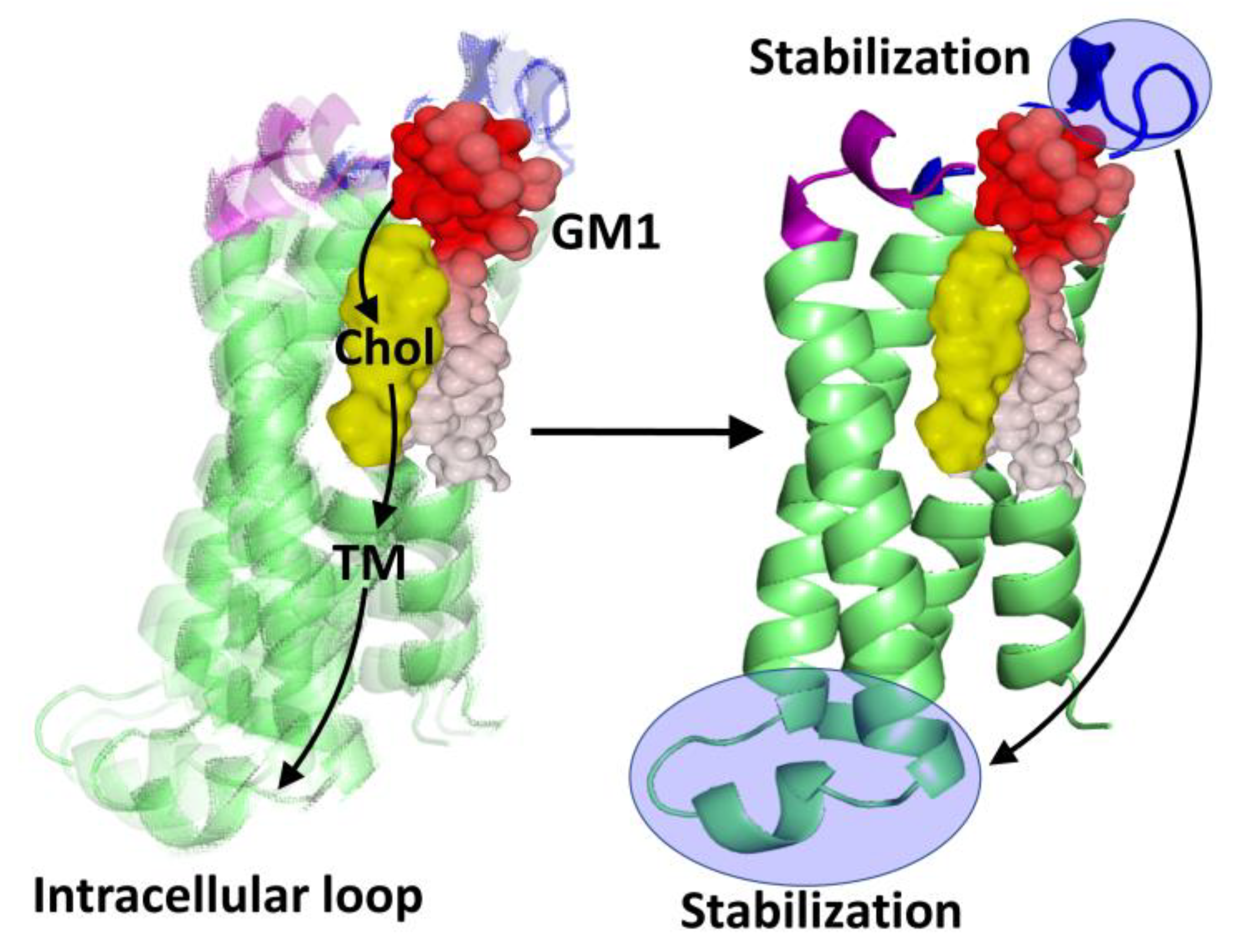 Receptors 03 00006 g007