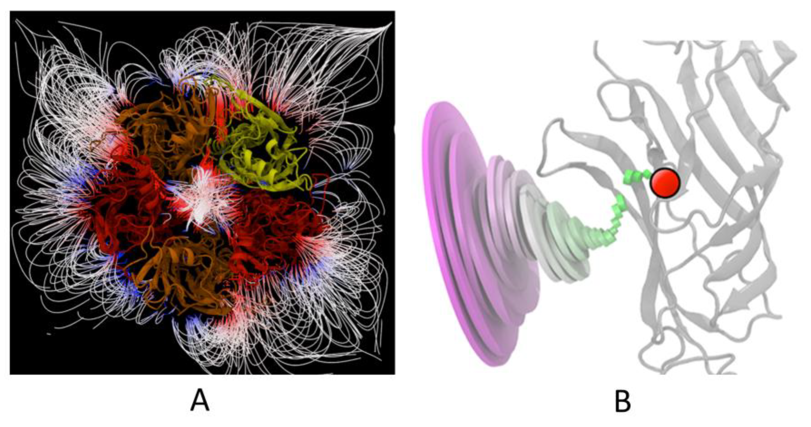 Receptors 03 00006 g008