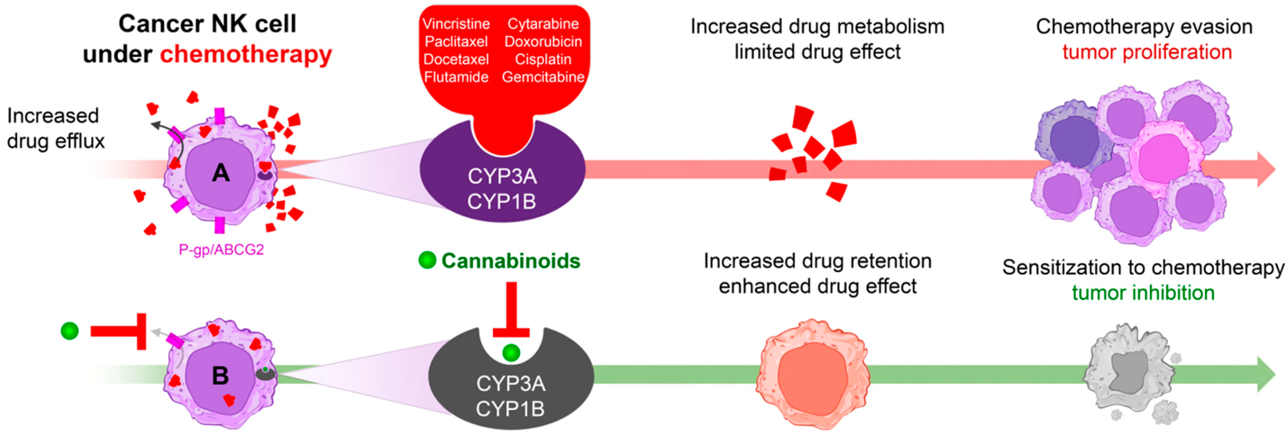Receptors 03 00007 g004 Receptors 03 00007 g004