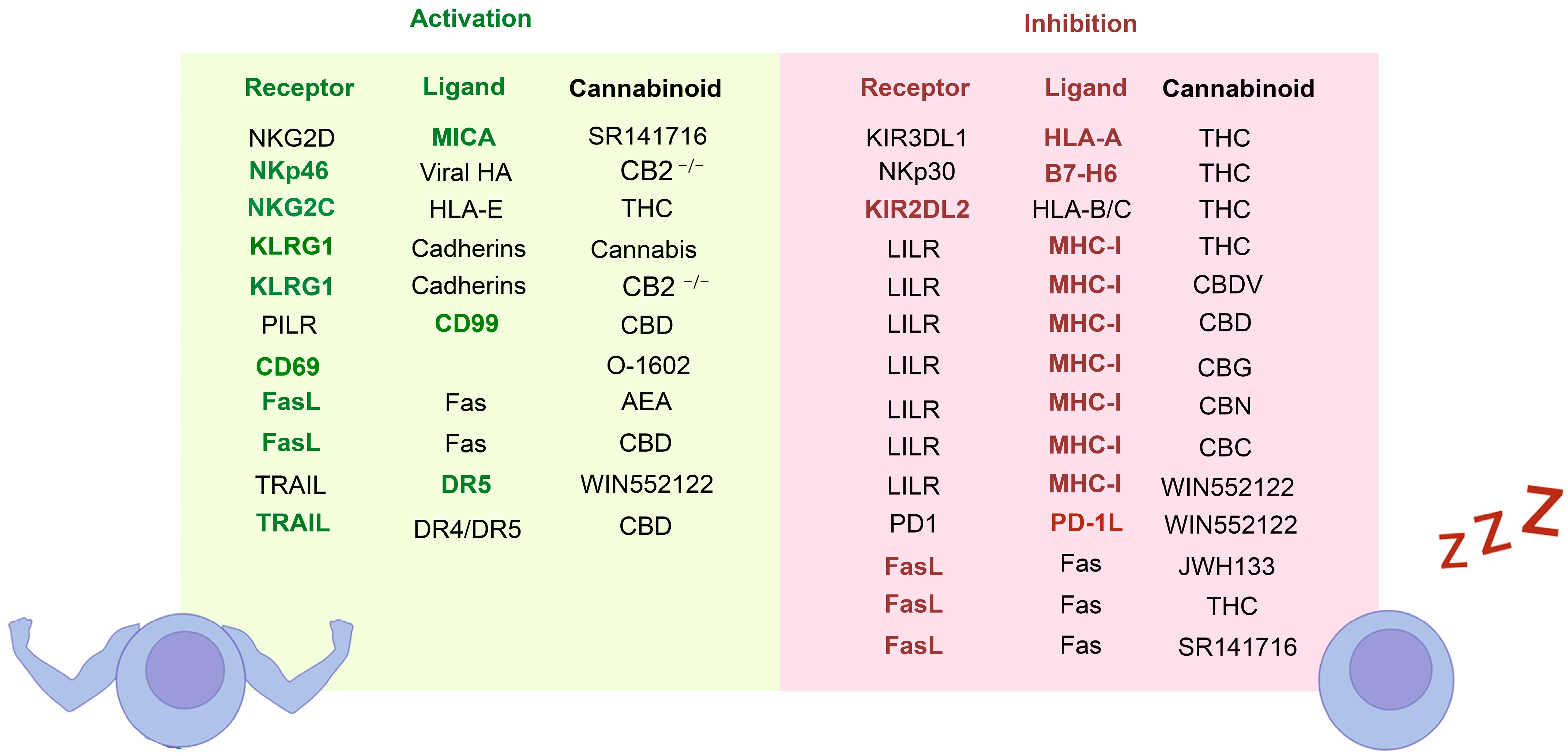Receptors 03 00007 g006 Receptors 03 00007 g006