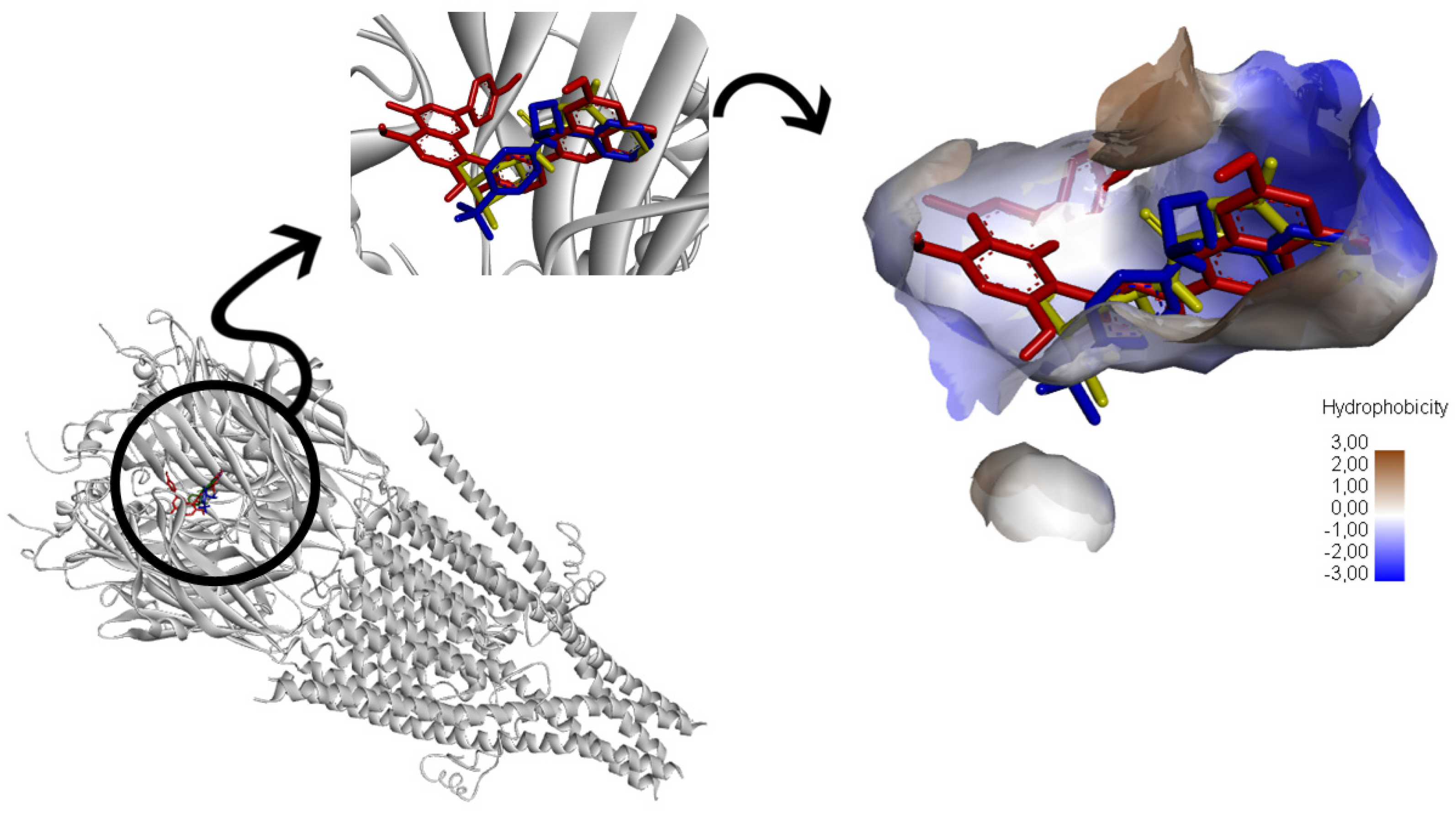 Receptors 03 00011 g011