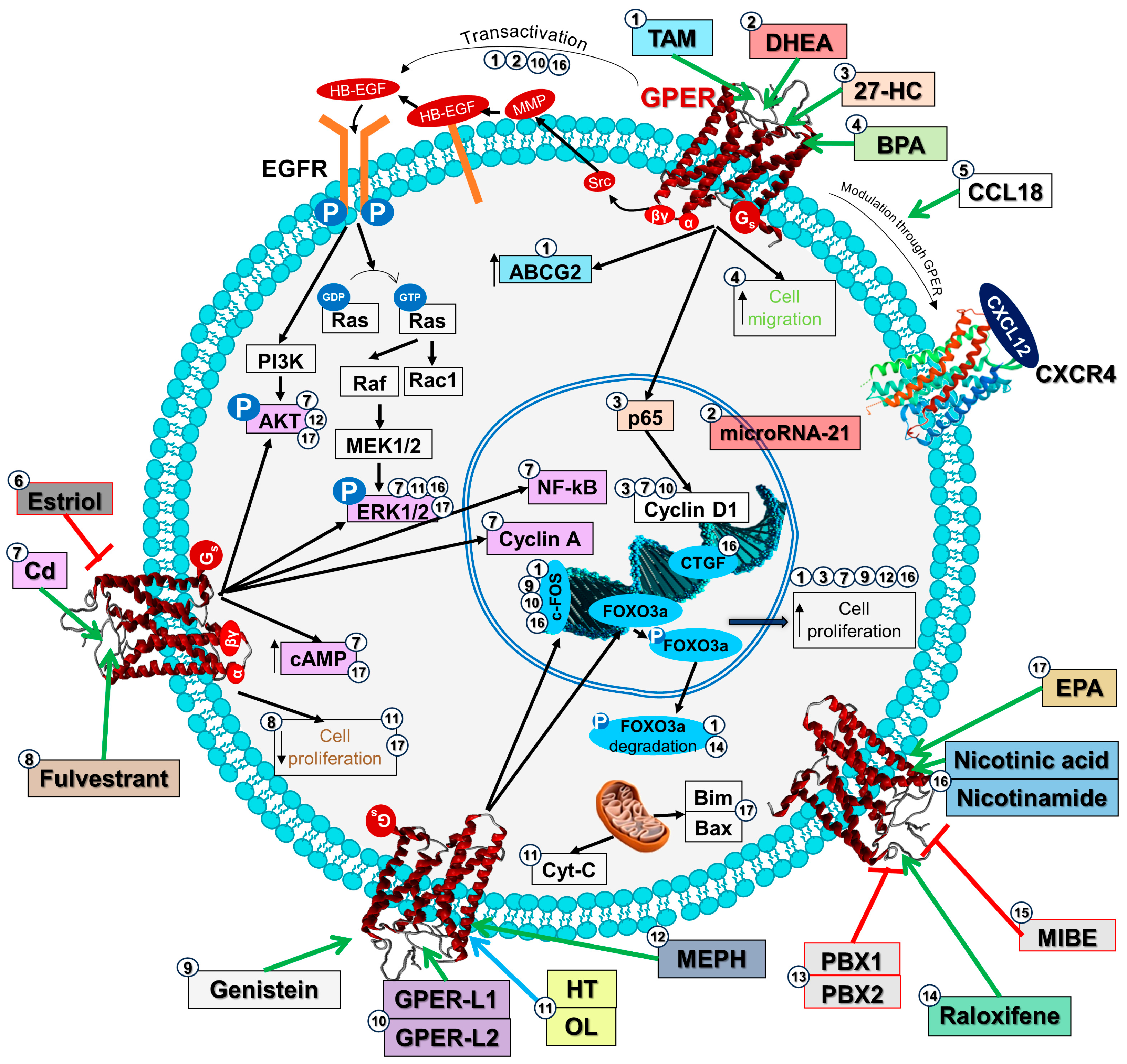 Receptors 03 00012 g002 Receptors 03 00012 g002