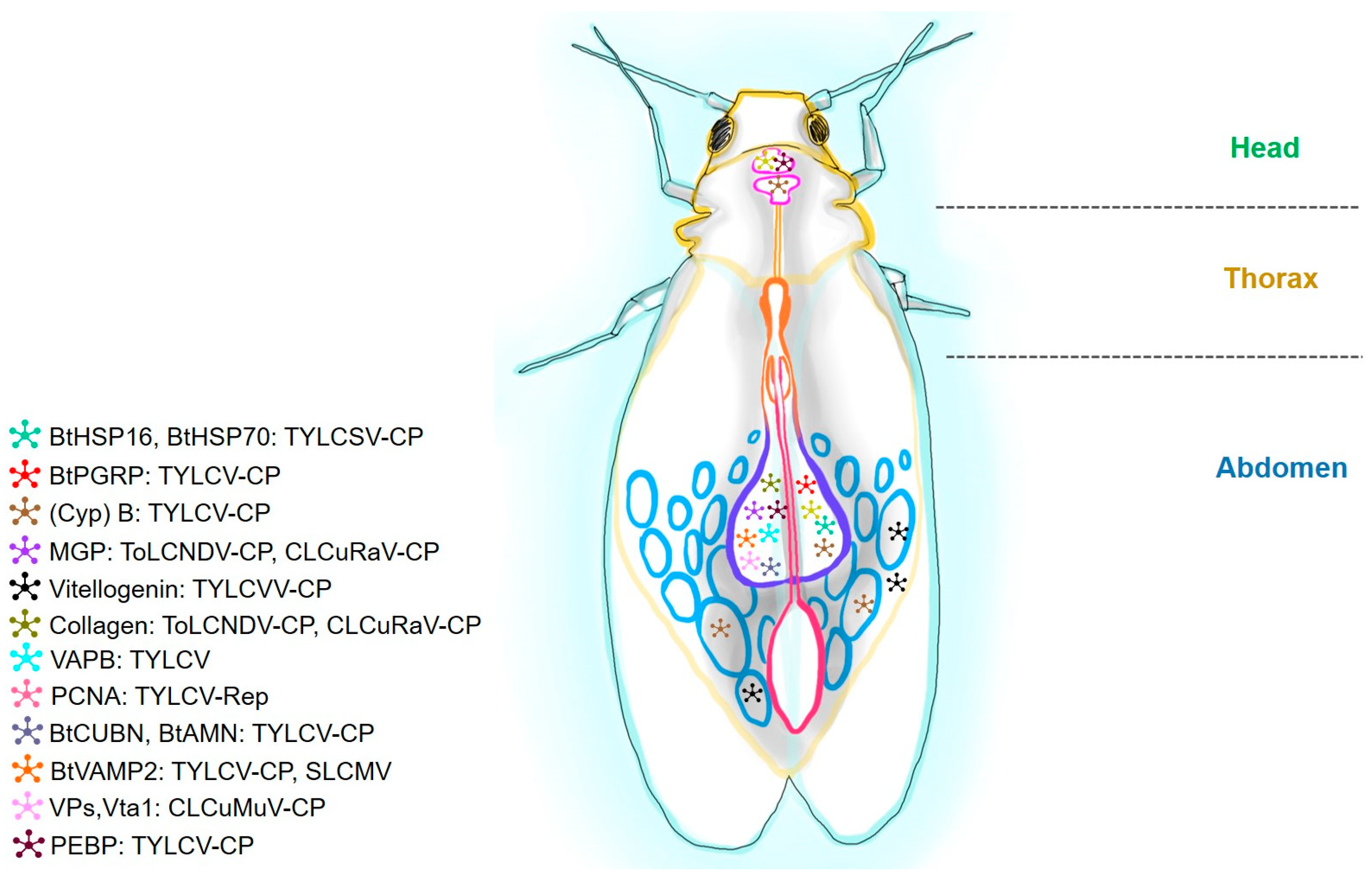 Receptors 03 00013 g005 Receptors 03 00013 g005