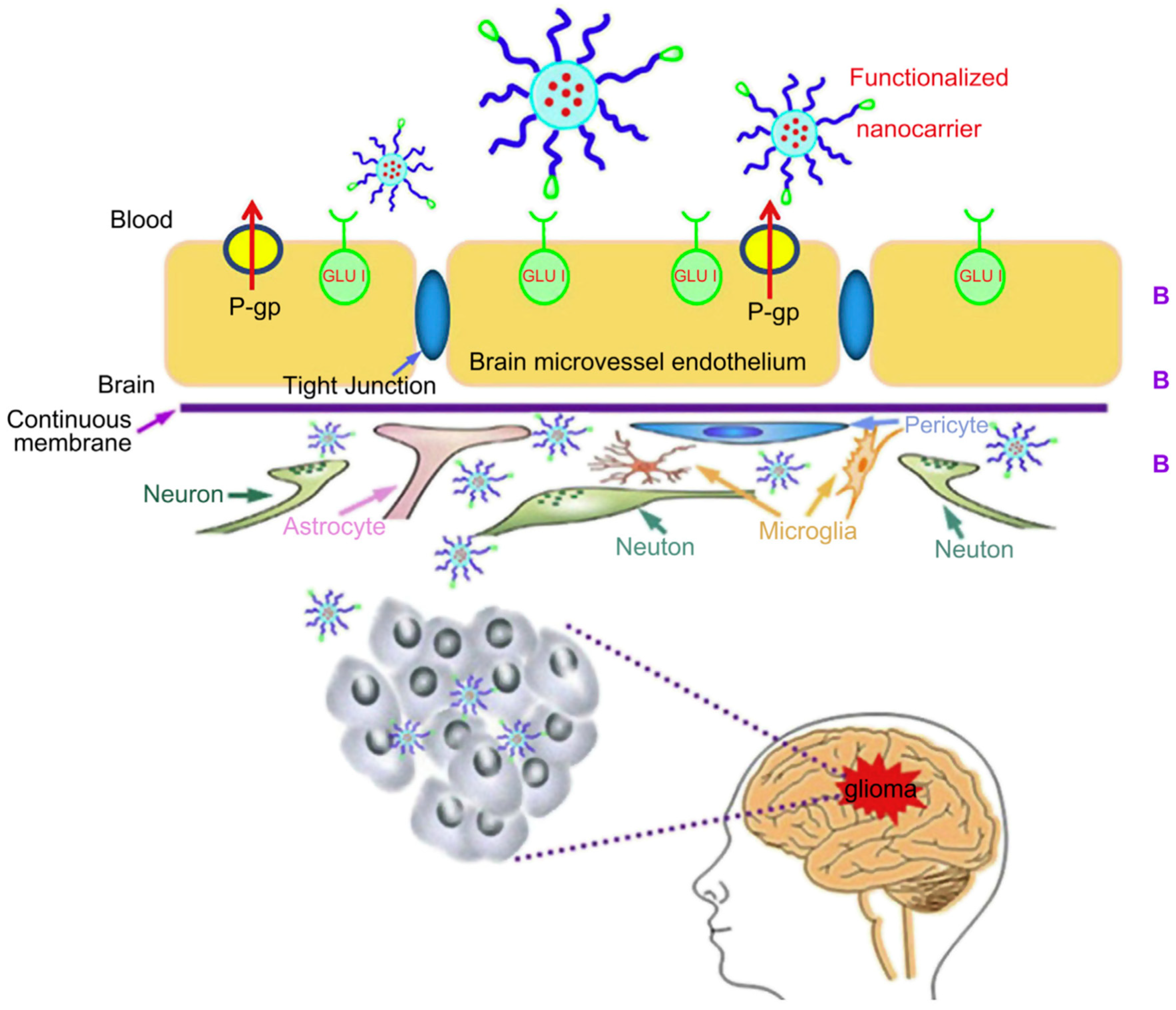 Receptors 03 00016 g003 Receptors 03 00016 g003