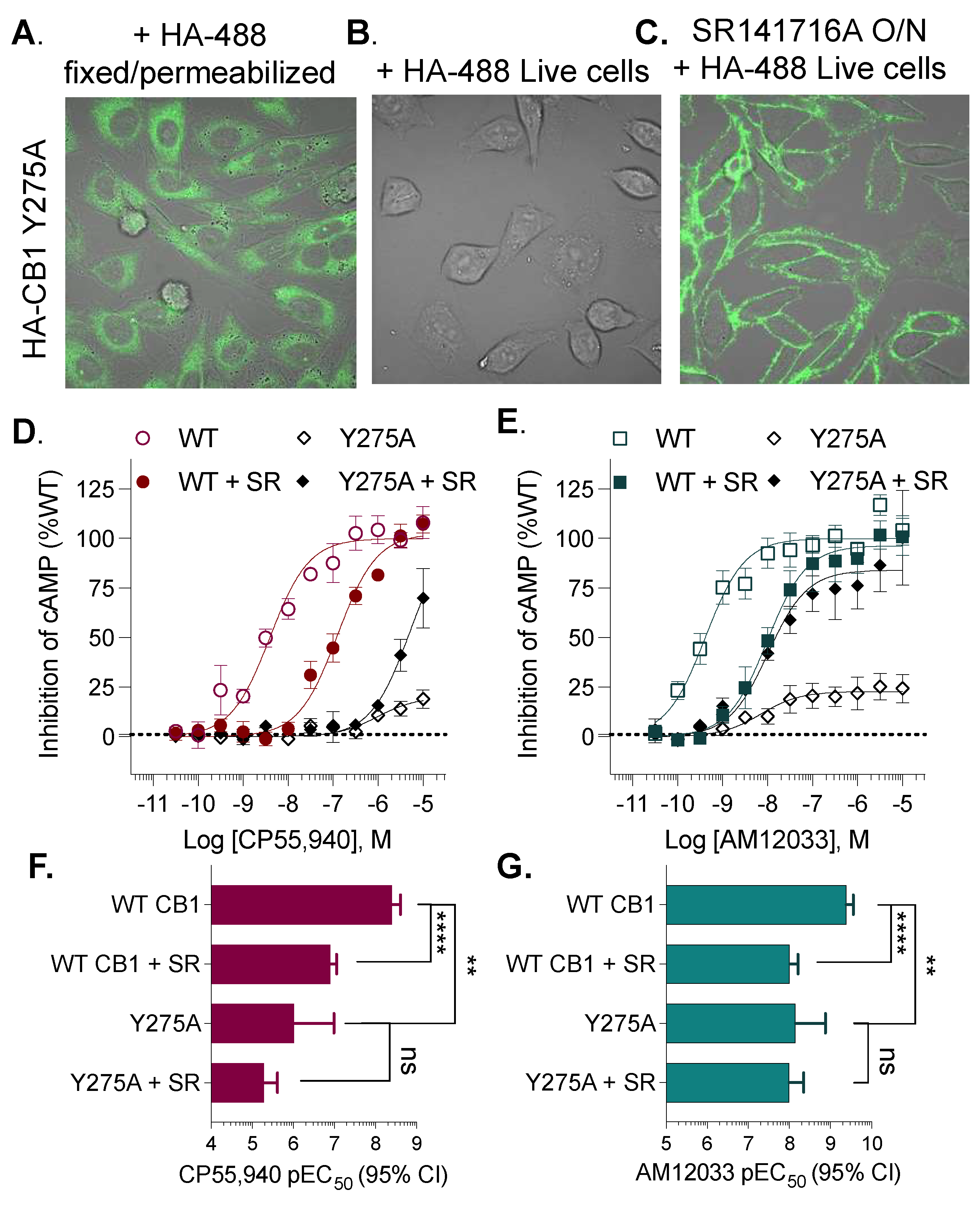 Receptors 03 00018 g004