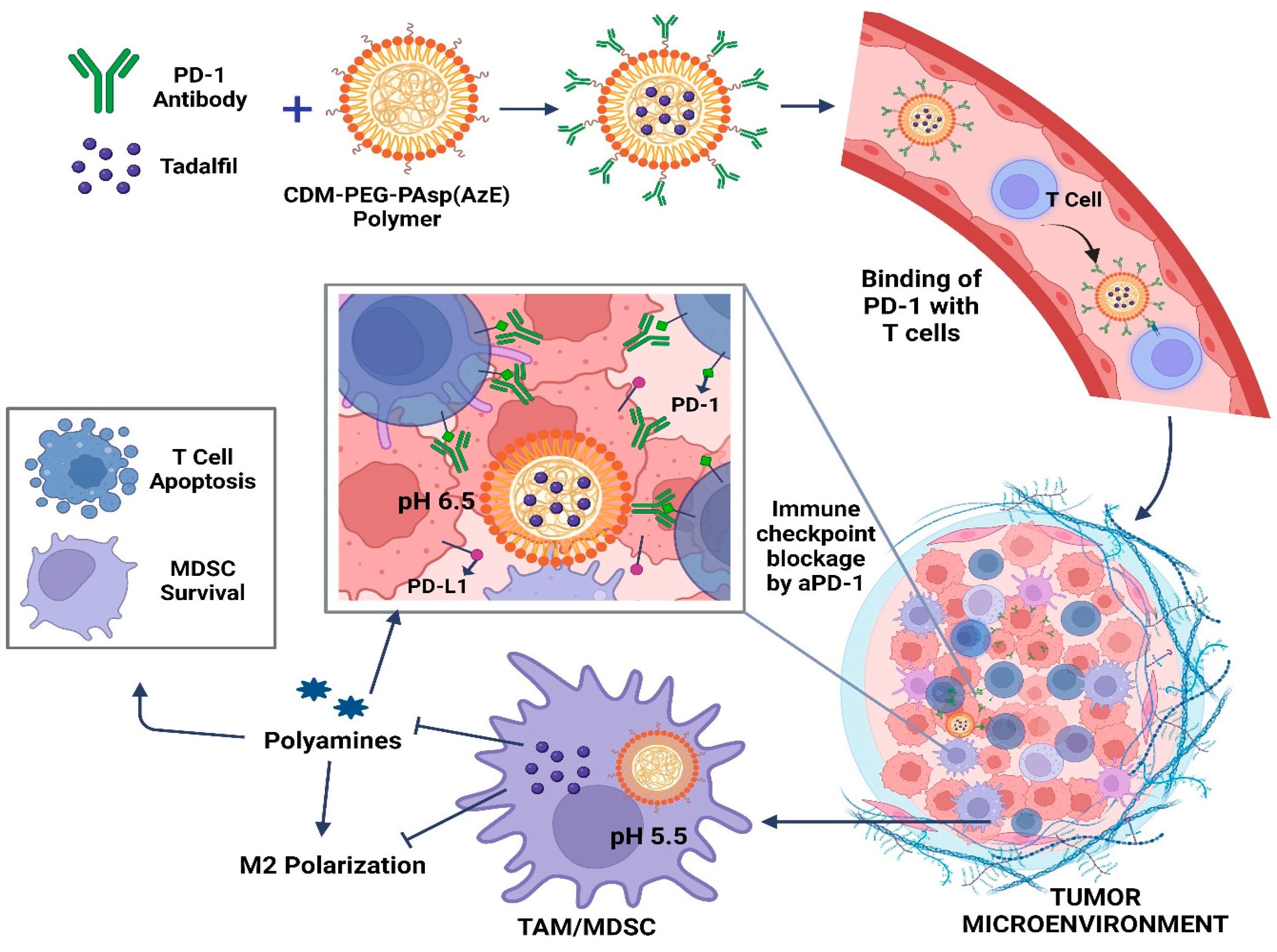 Receptors 03 00021 g003