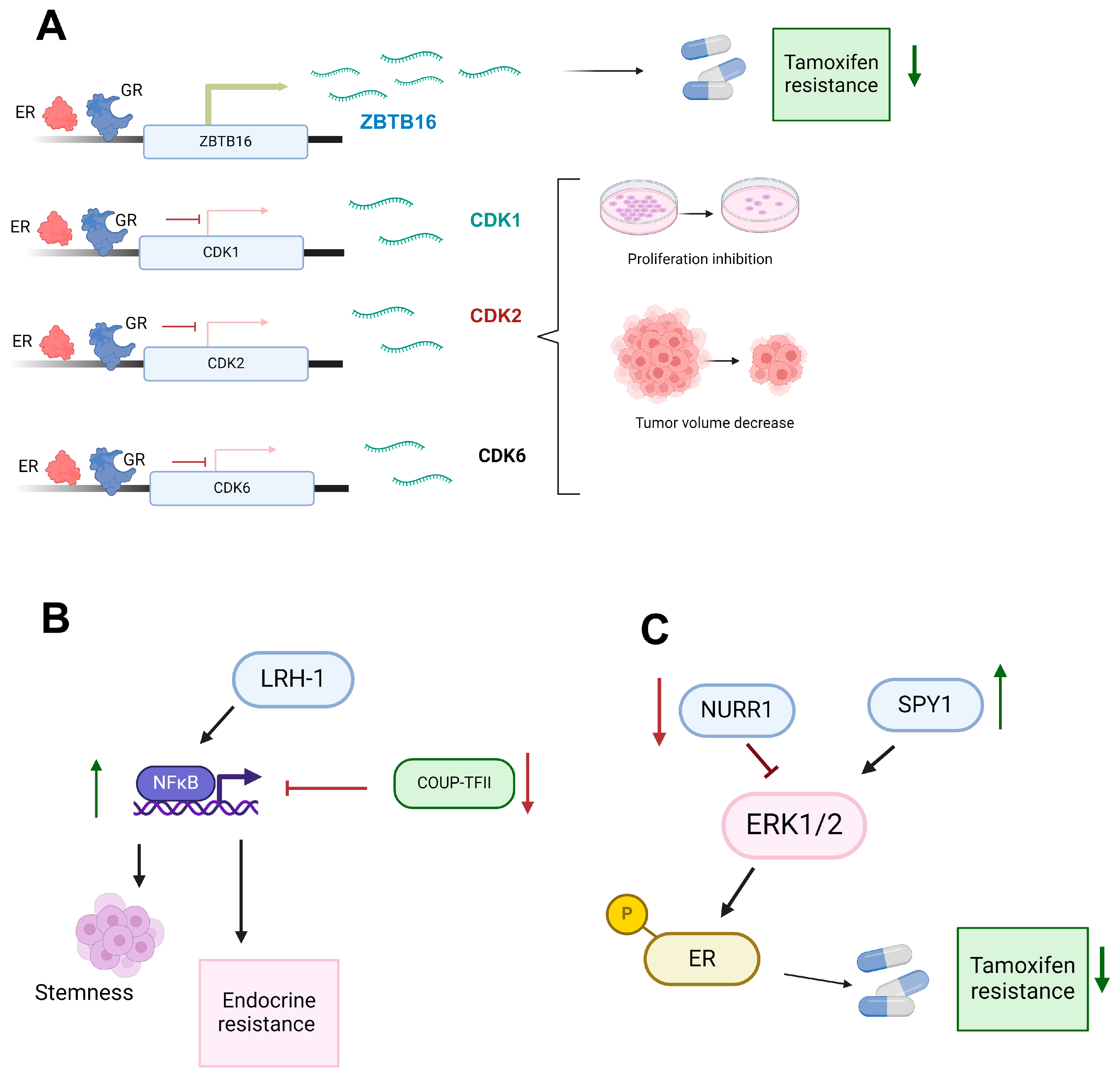 Receptors 03 00022 g002