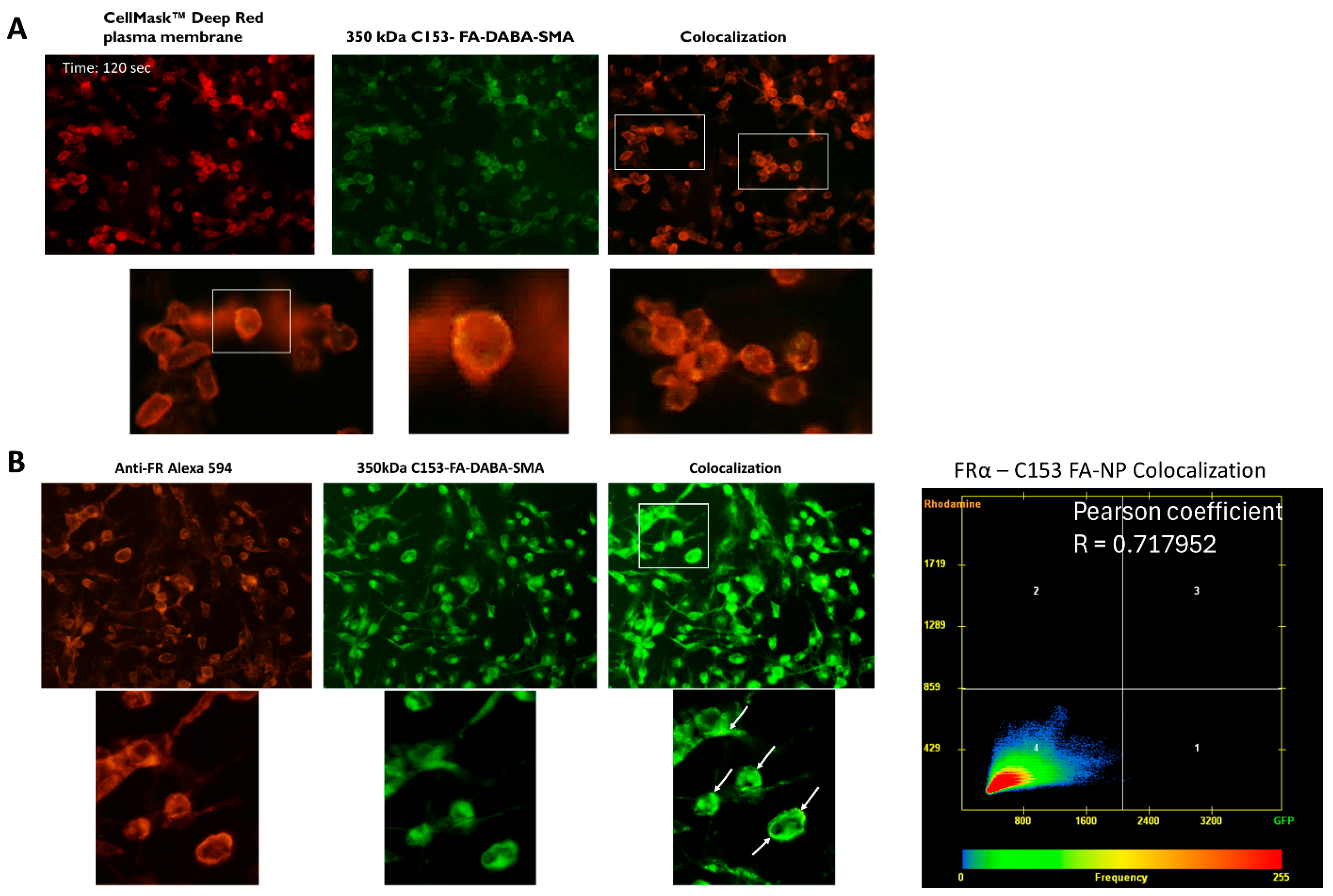 Receptors 03 00023 g004