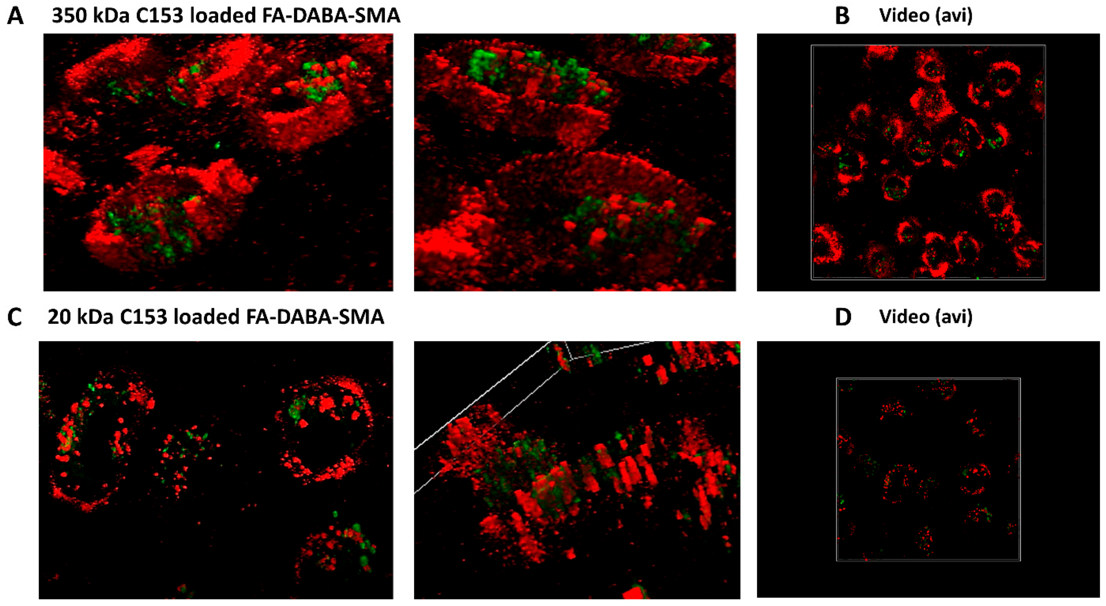 Receptors 03 00023 g005