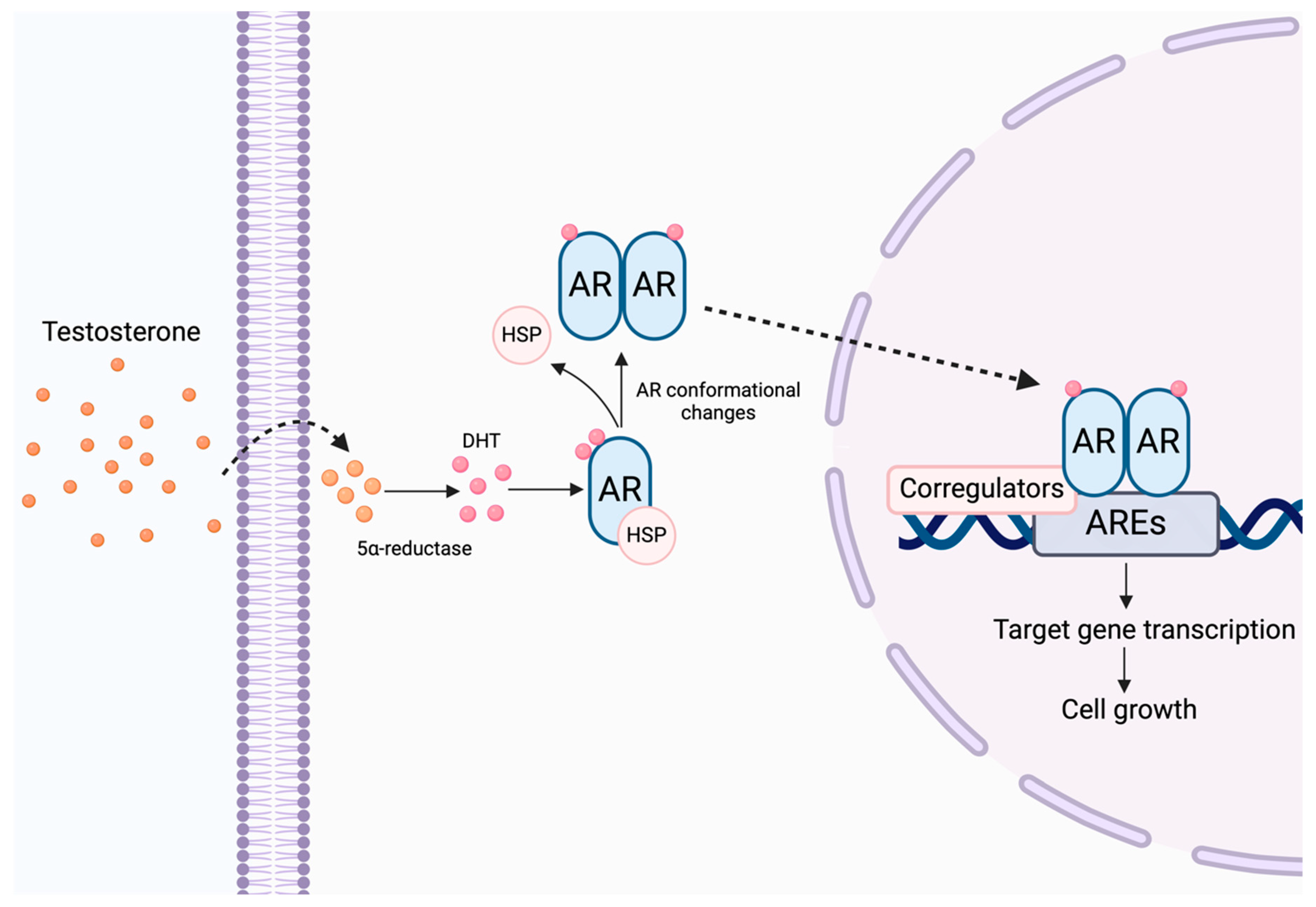 Receptors 03 00025 g001