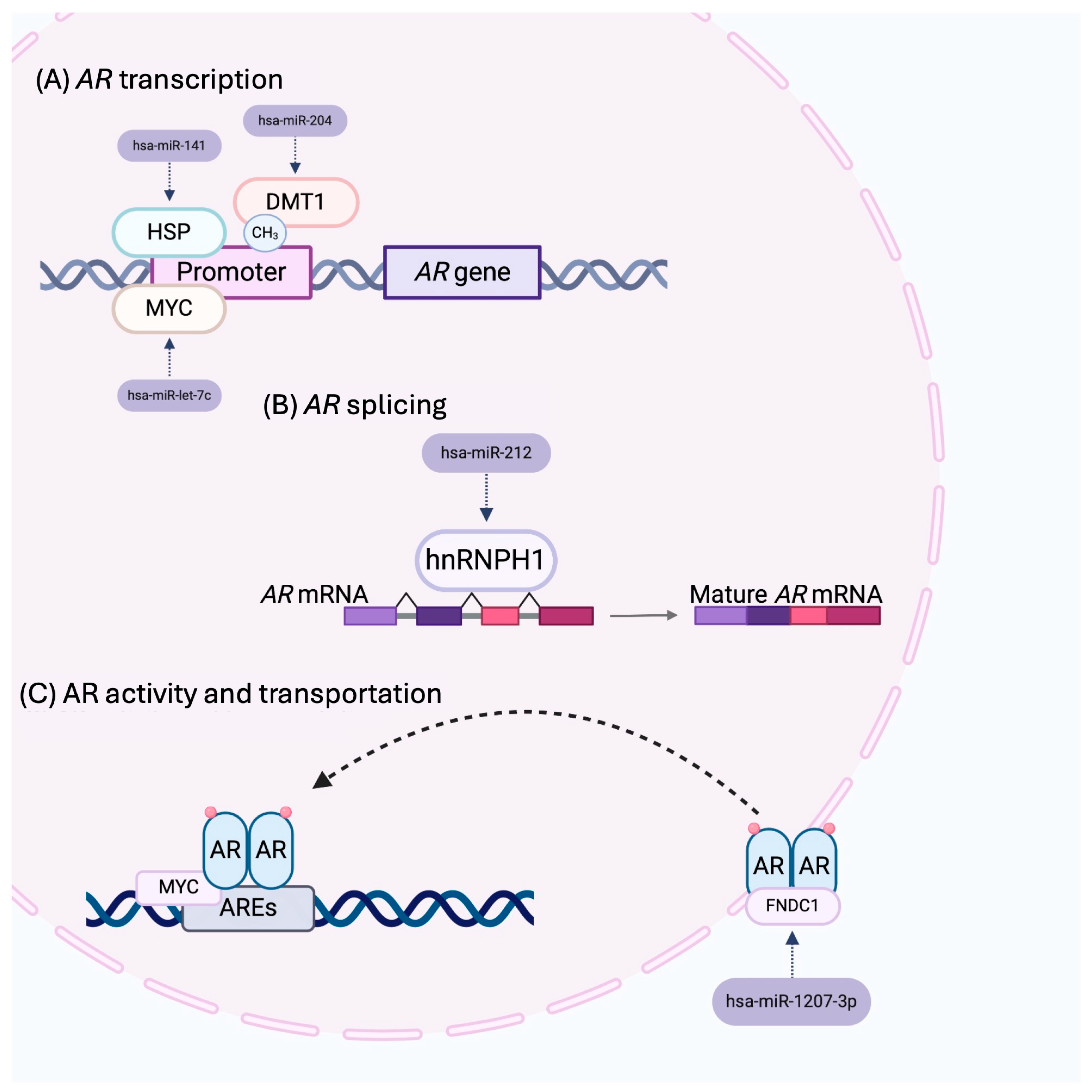 Receptors 03 00025 g002