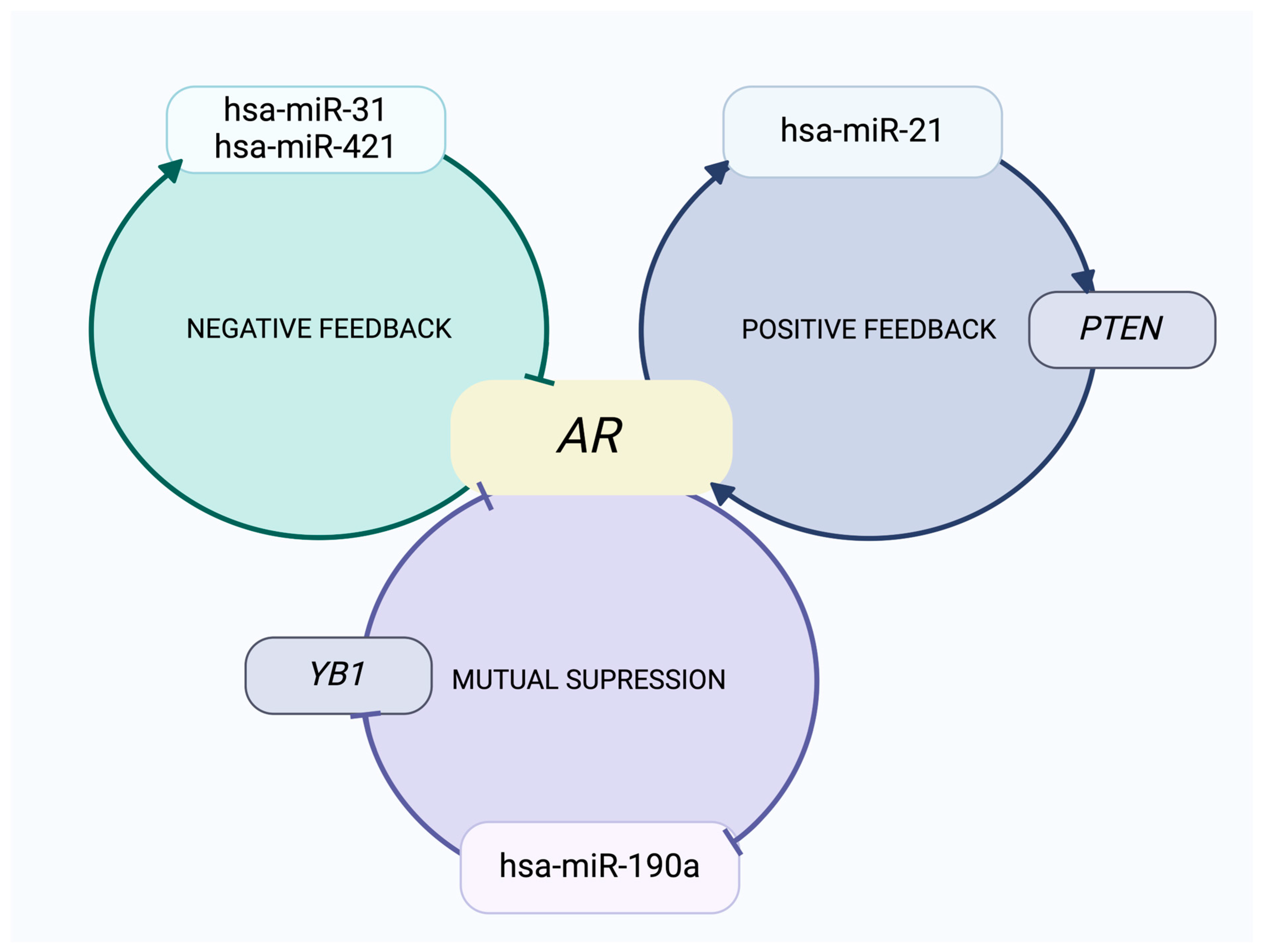 Receptors 03 00025 g003