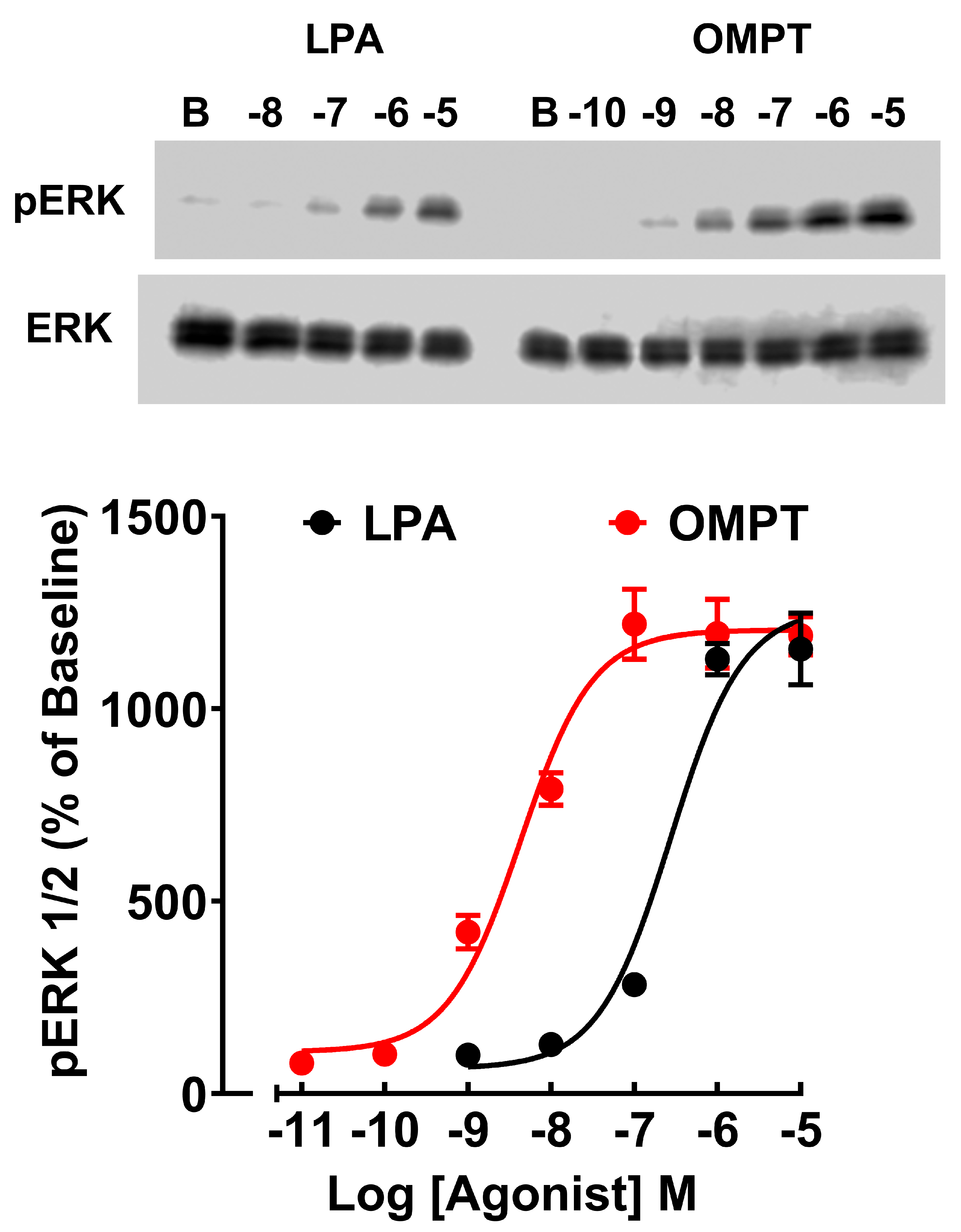 Receptors 03 00029 g002