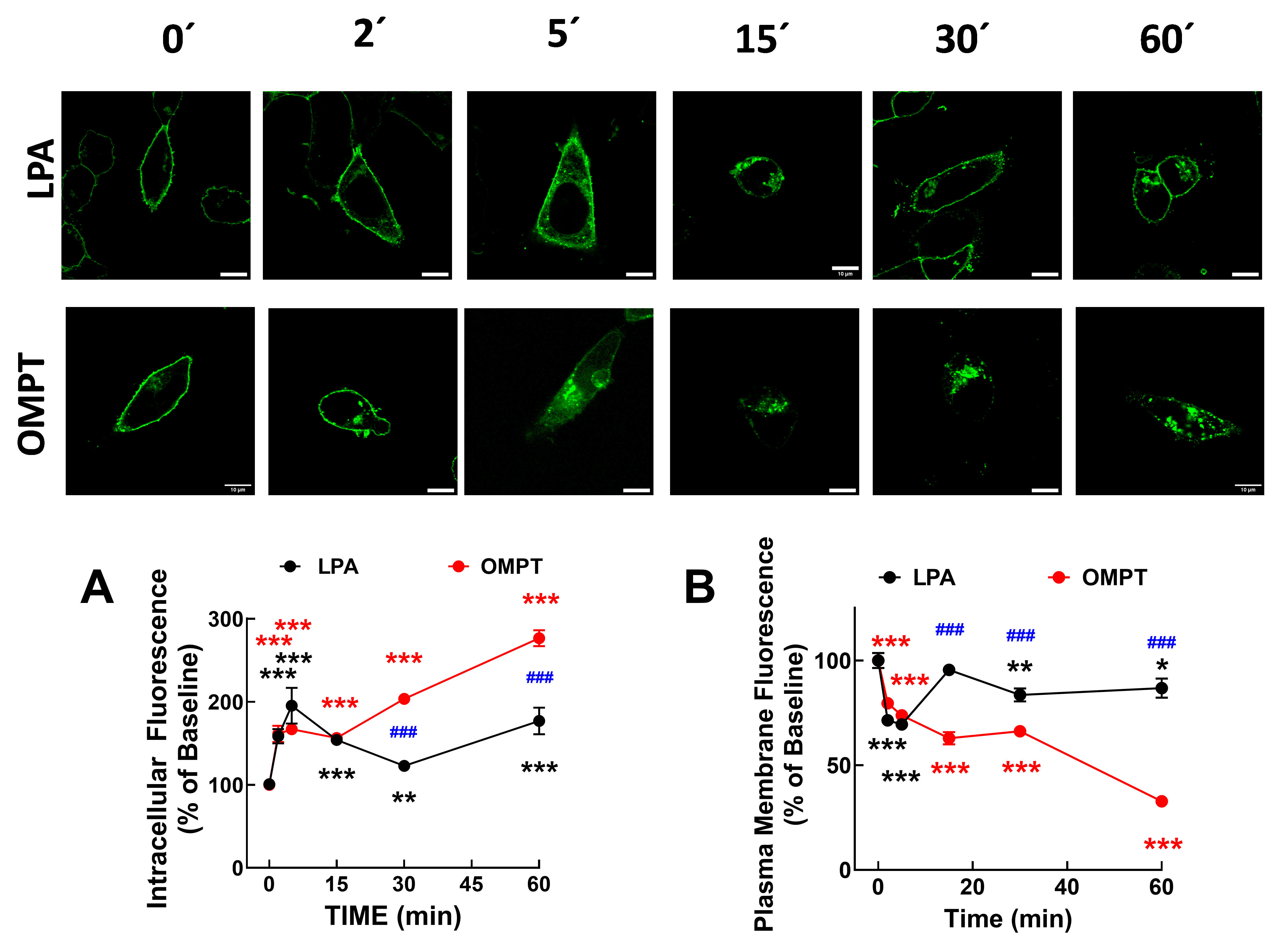 Receptors 03 00029 g005