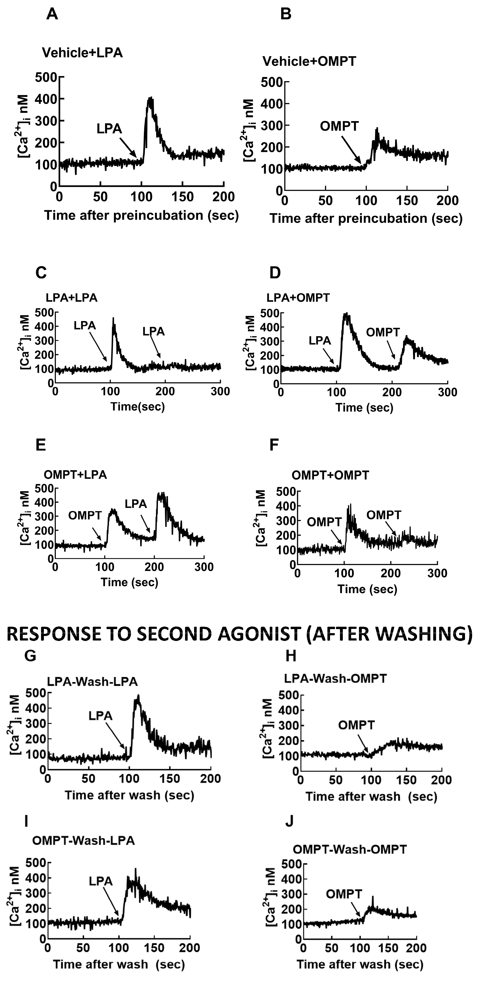 Receptors 03 00029 g011