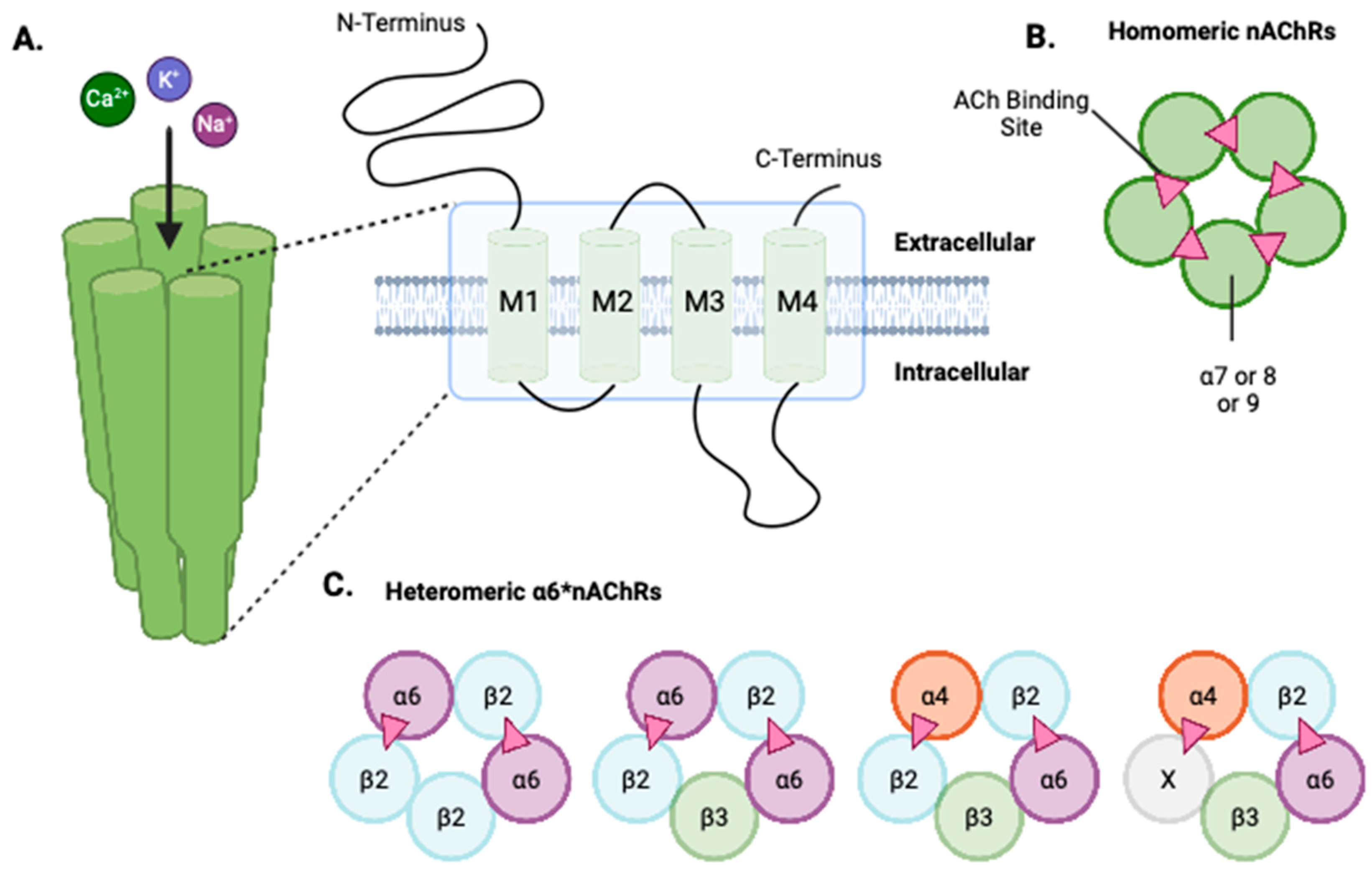 Receptors 04 00001 g001