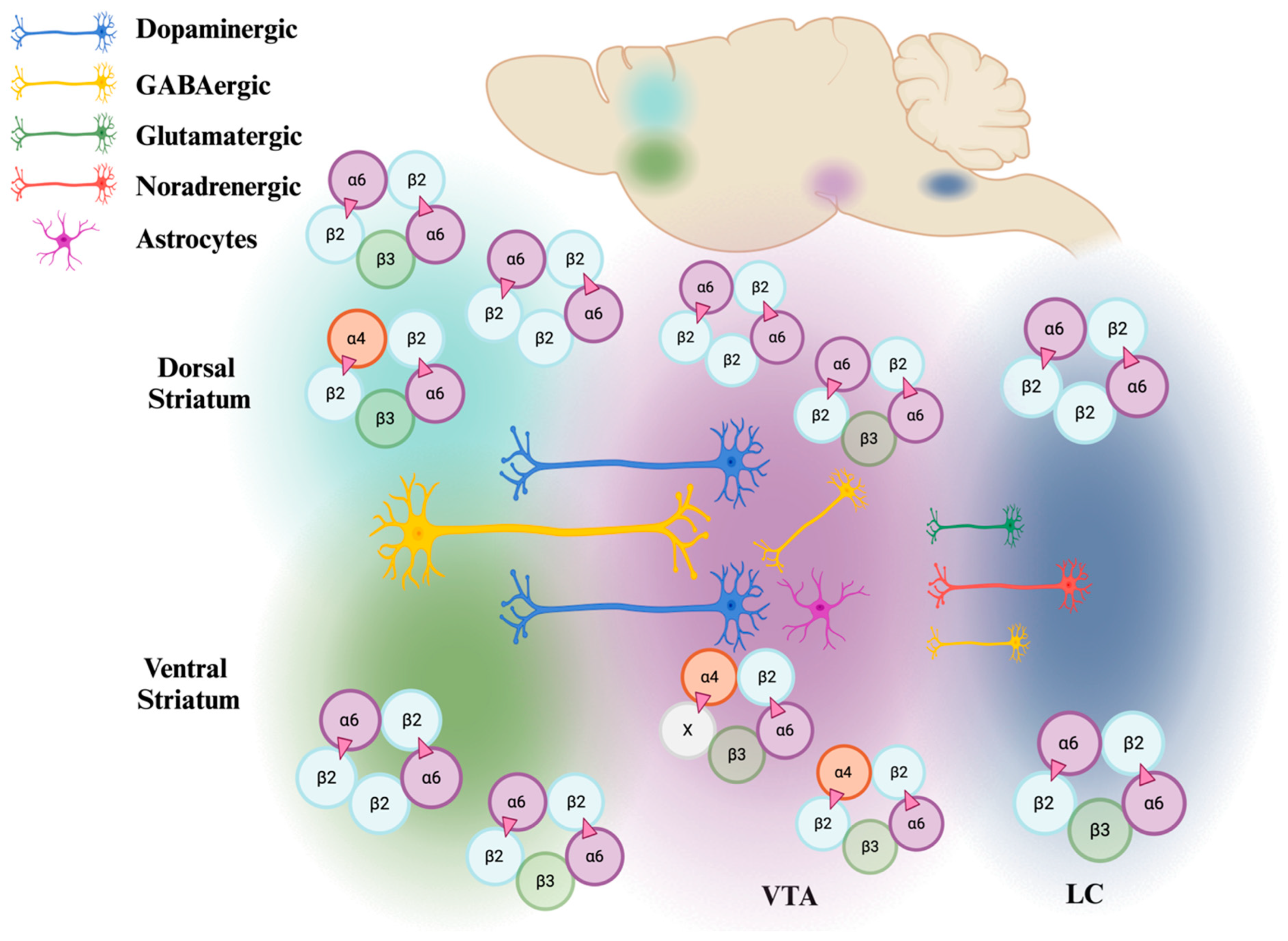 Receptors 04 00001 g002