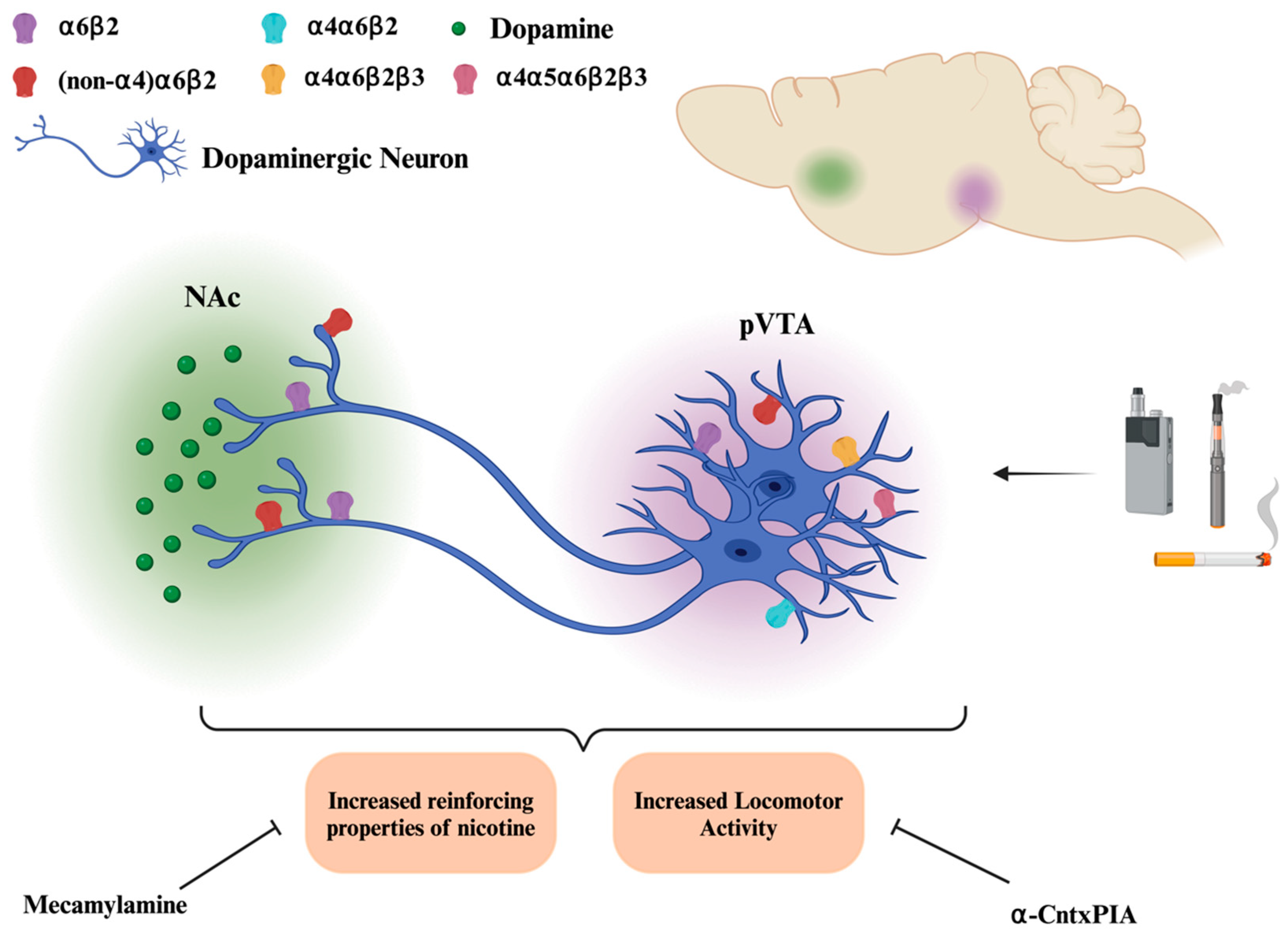 Receptors 04 00001 g003