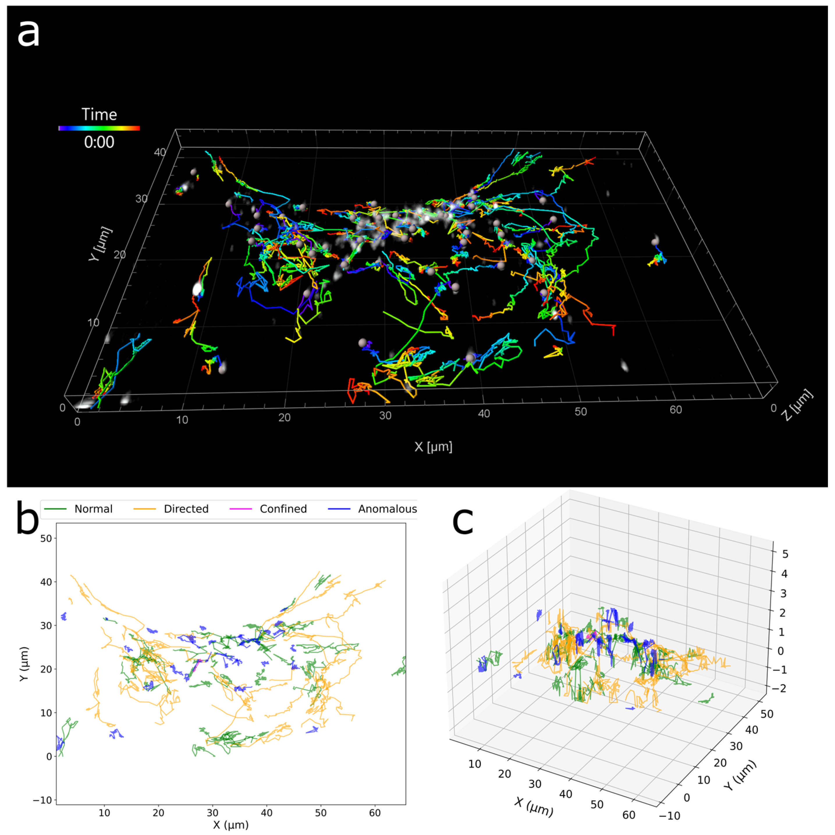 Receptors 04 00006 g005