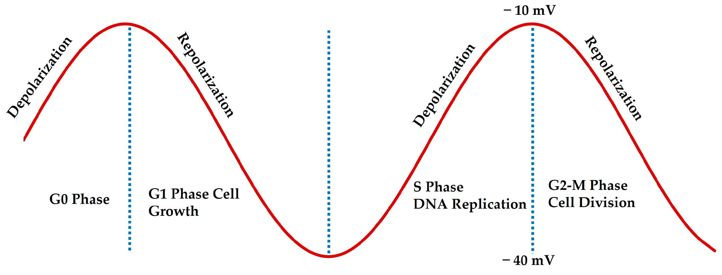 Receptors 04 00009 g001