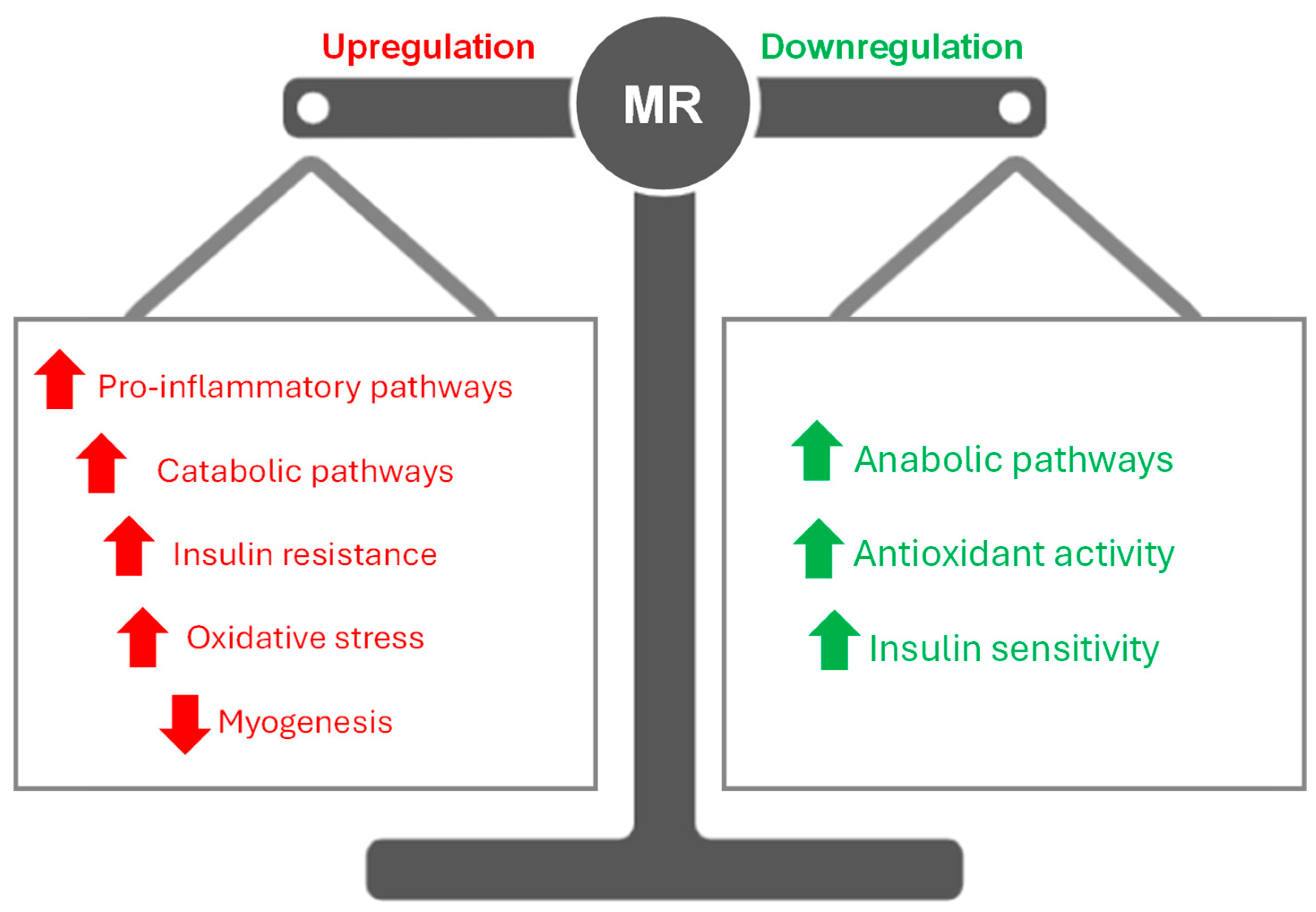 Receptors 04 00013 g001