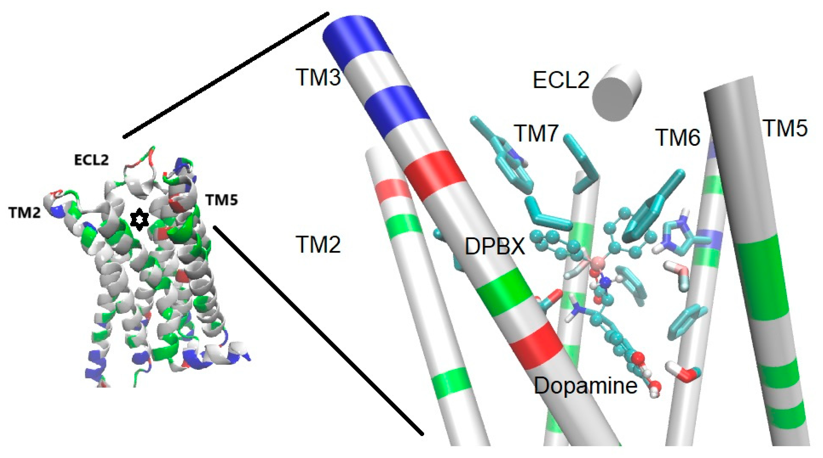 Receptors 04 00015 g002