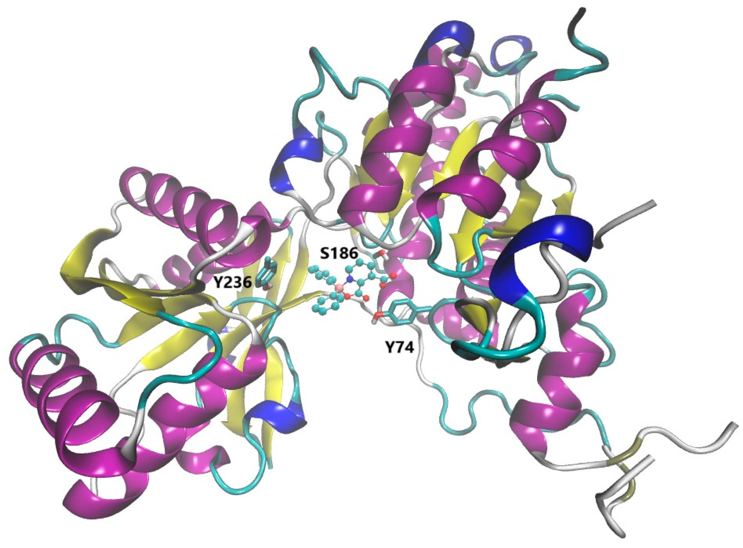 Receptors 04 00015 g004