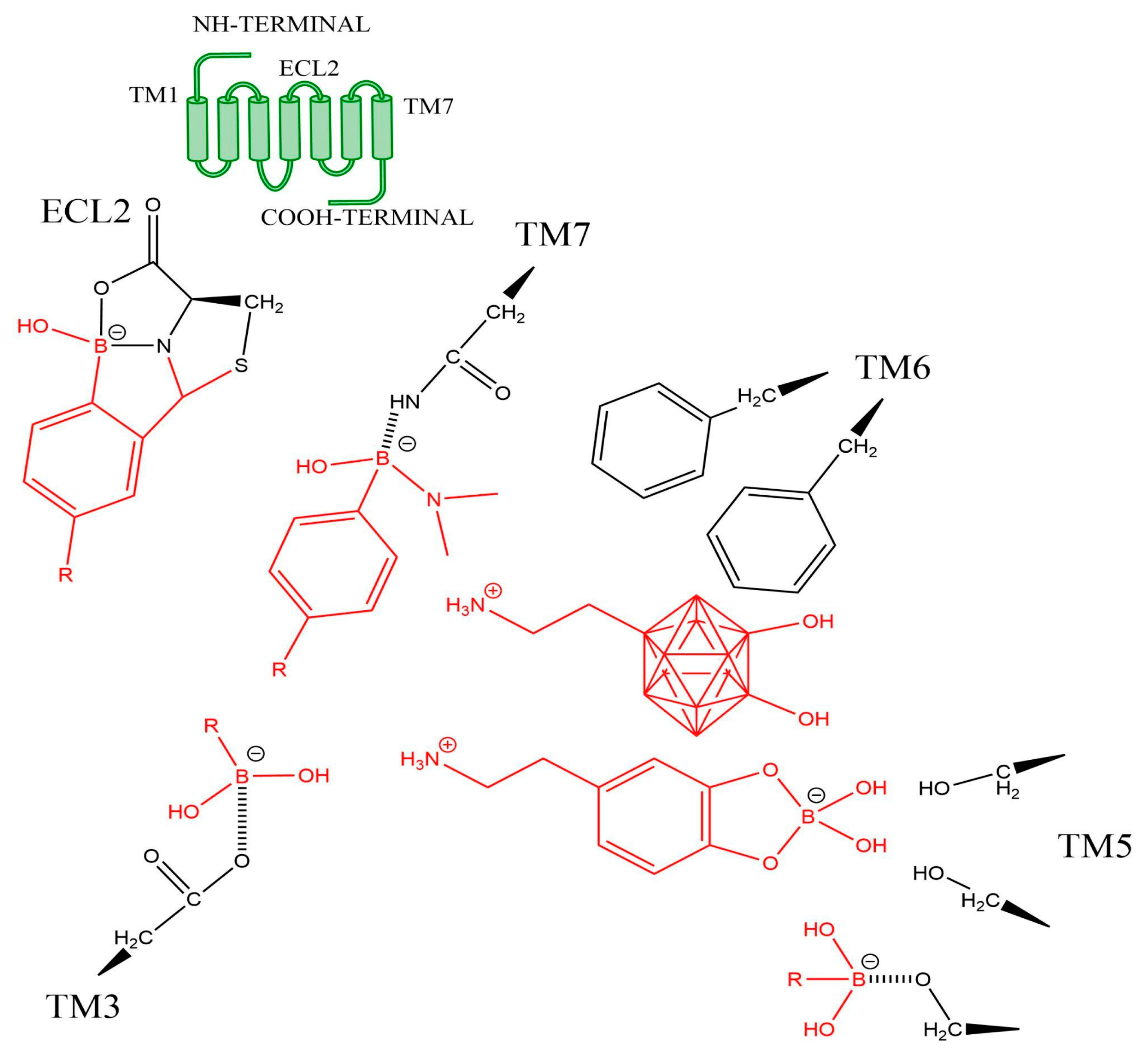 Receptors 04 00015 g005