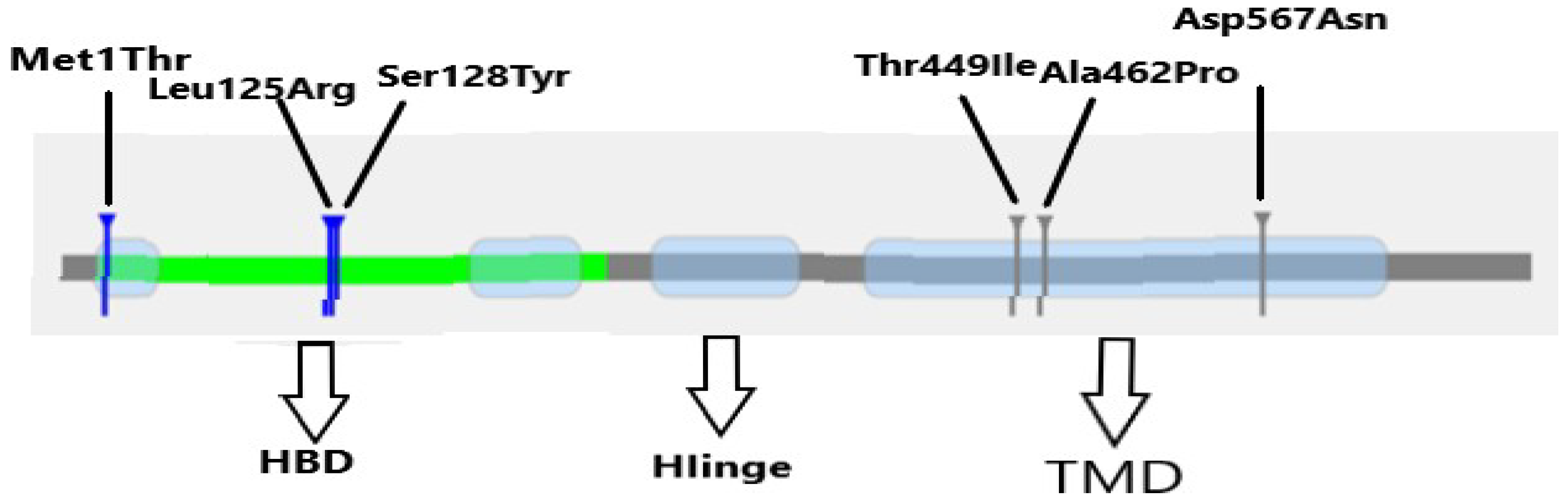 Receptors 04 00016 g004 Receptors 04 00016 g004