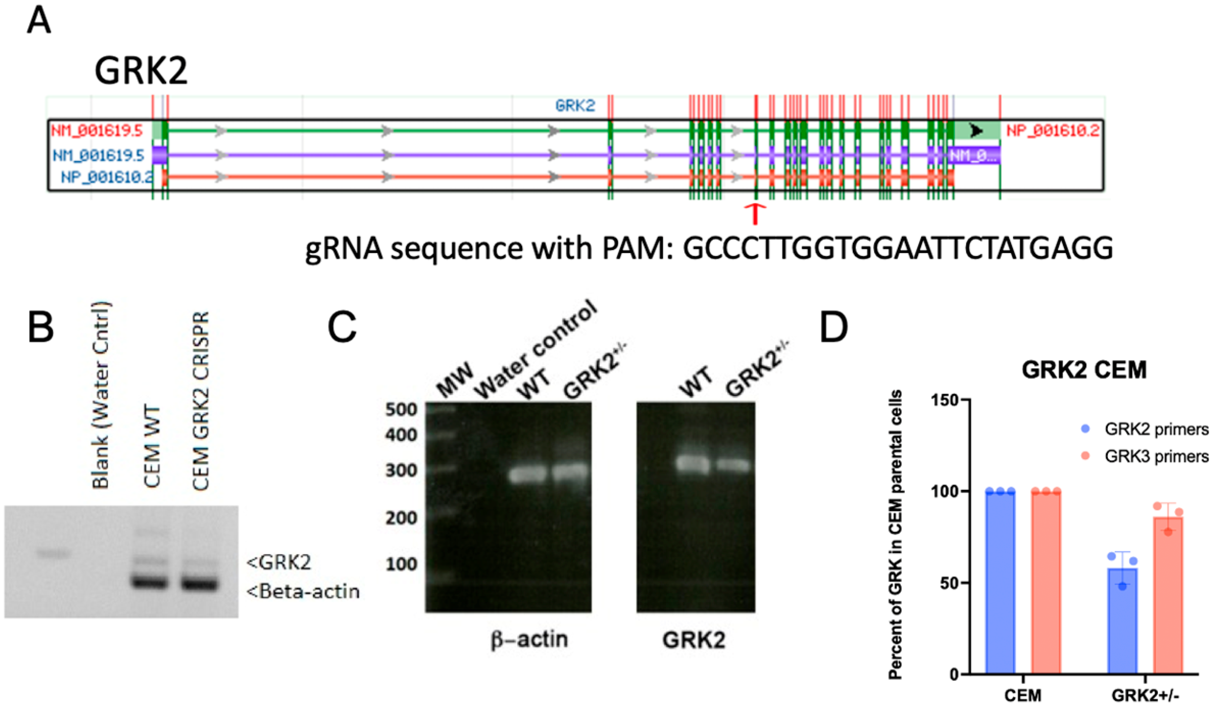 Receptors 04 00017 g001 Receptors 04 00017 g001