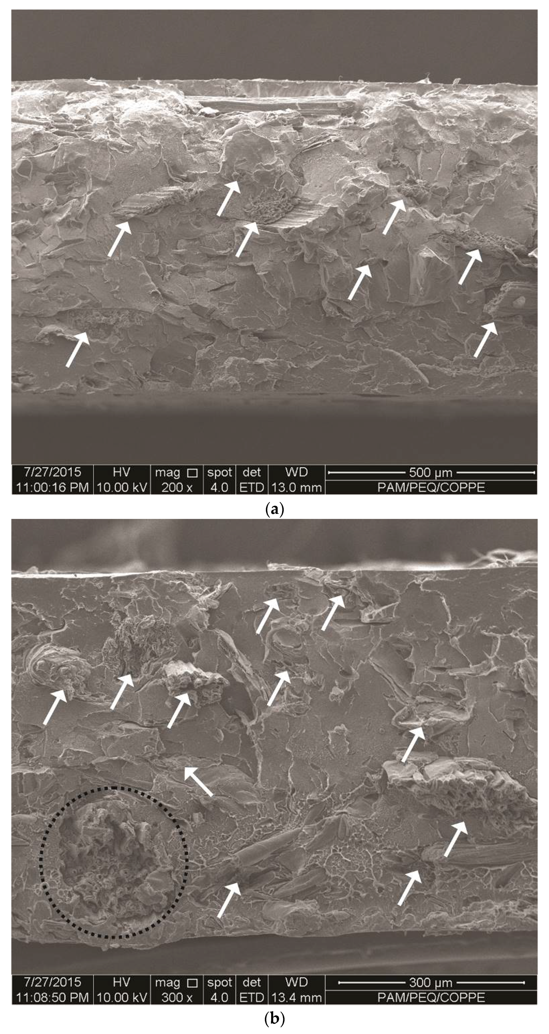 Recycling 01 00205 g001a 1024