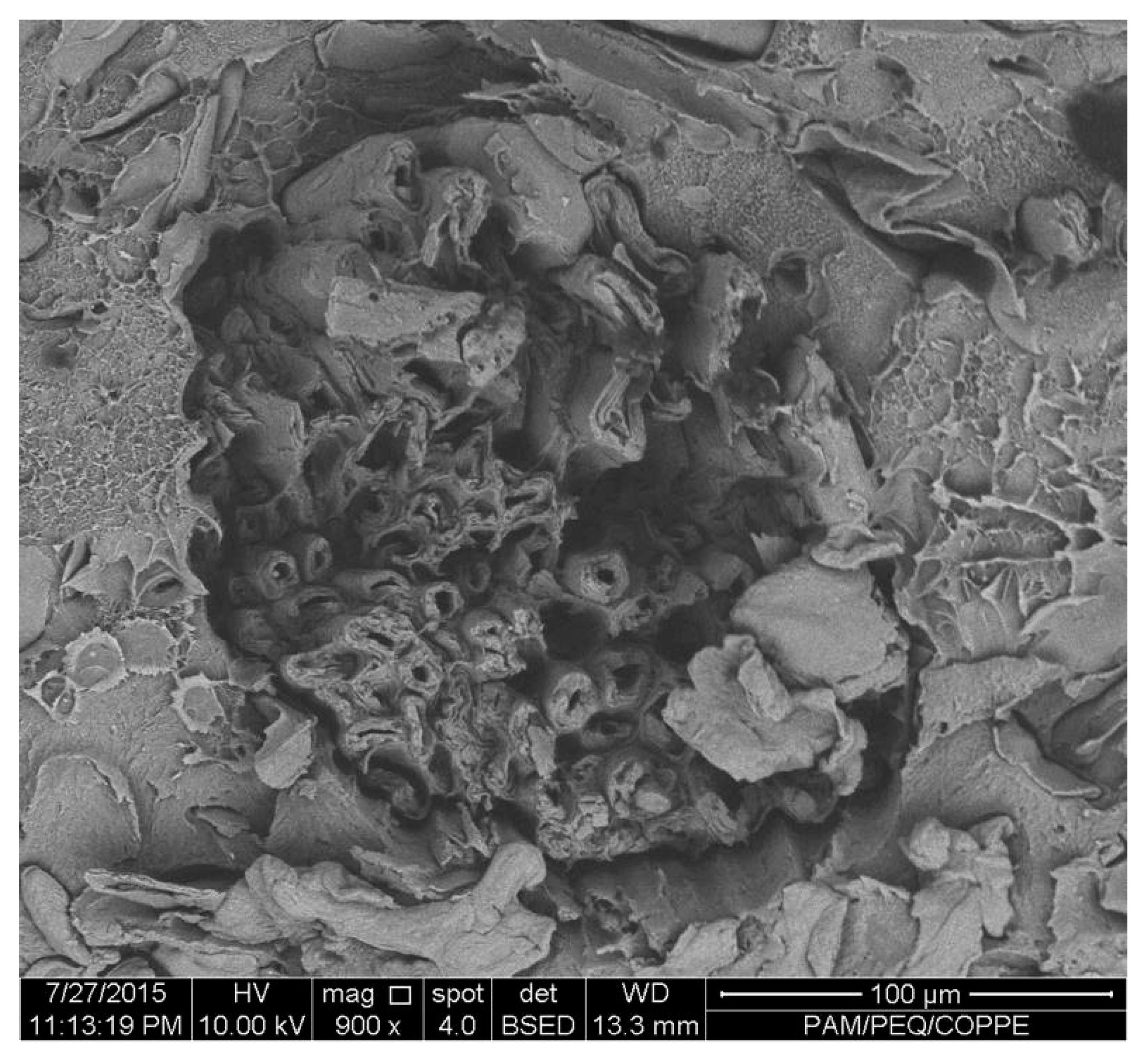 Recycling 01 00205 g002 1024