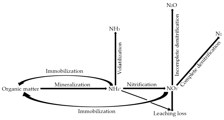 Recycling 01 00311 g002 550