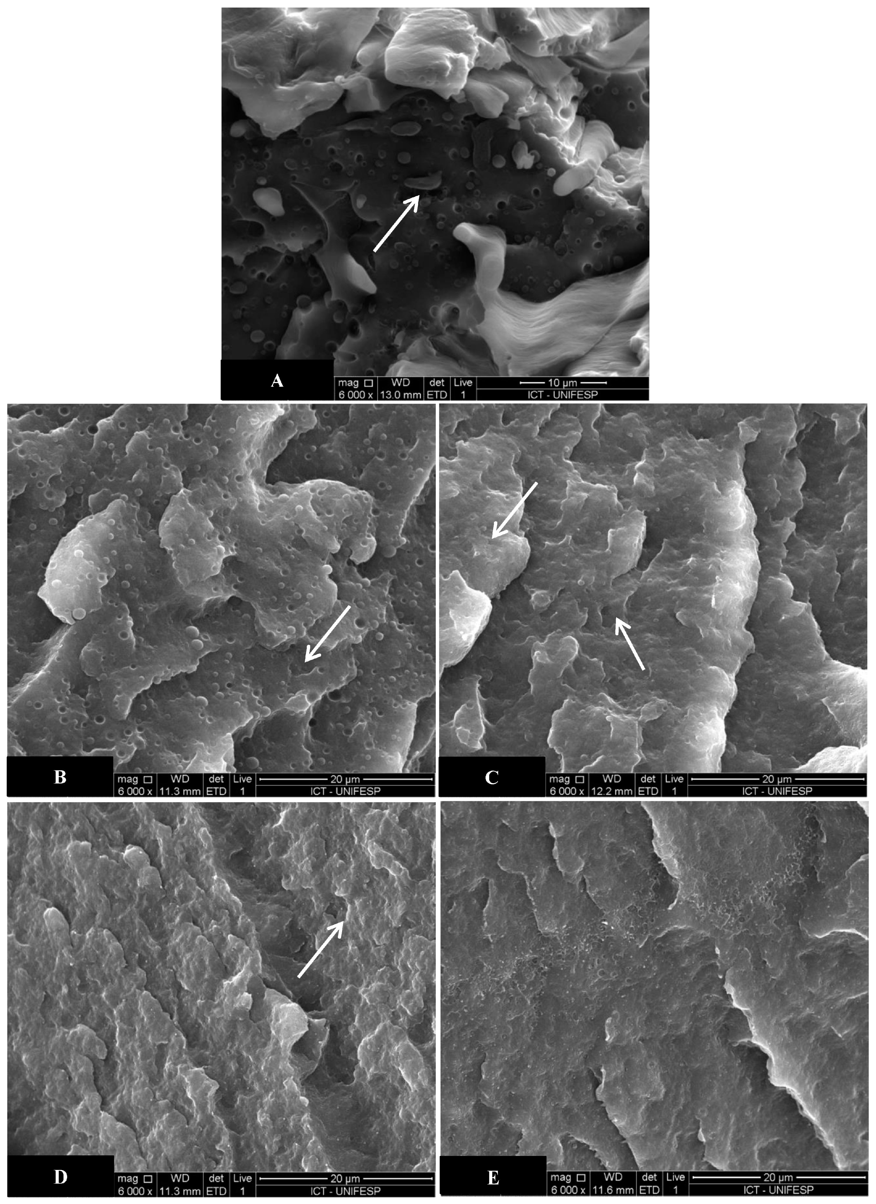 Recycling Free Full Text A New Strategy For The Use Of Post Processing Vacuum Bags From Aerospace Supplies Nucleating Agent To Lldpe Phase In Pa6 Lldpe Blends Html Recycling Free Full Text A New Strategy For The Use Of Post Processing Vacuum Bags From Aerospace Supplies Nucleating Agent To Lldpe Phase In Pa6 Lldpe Blends Html