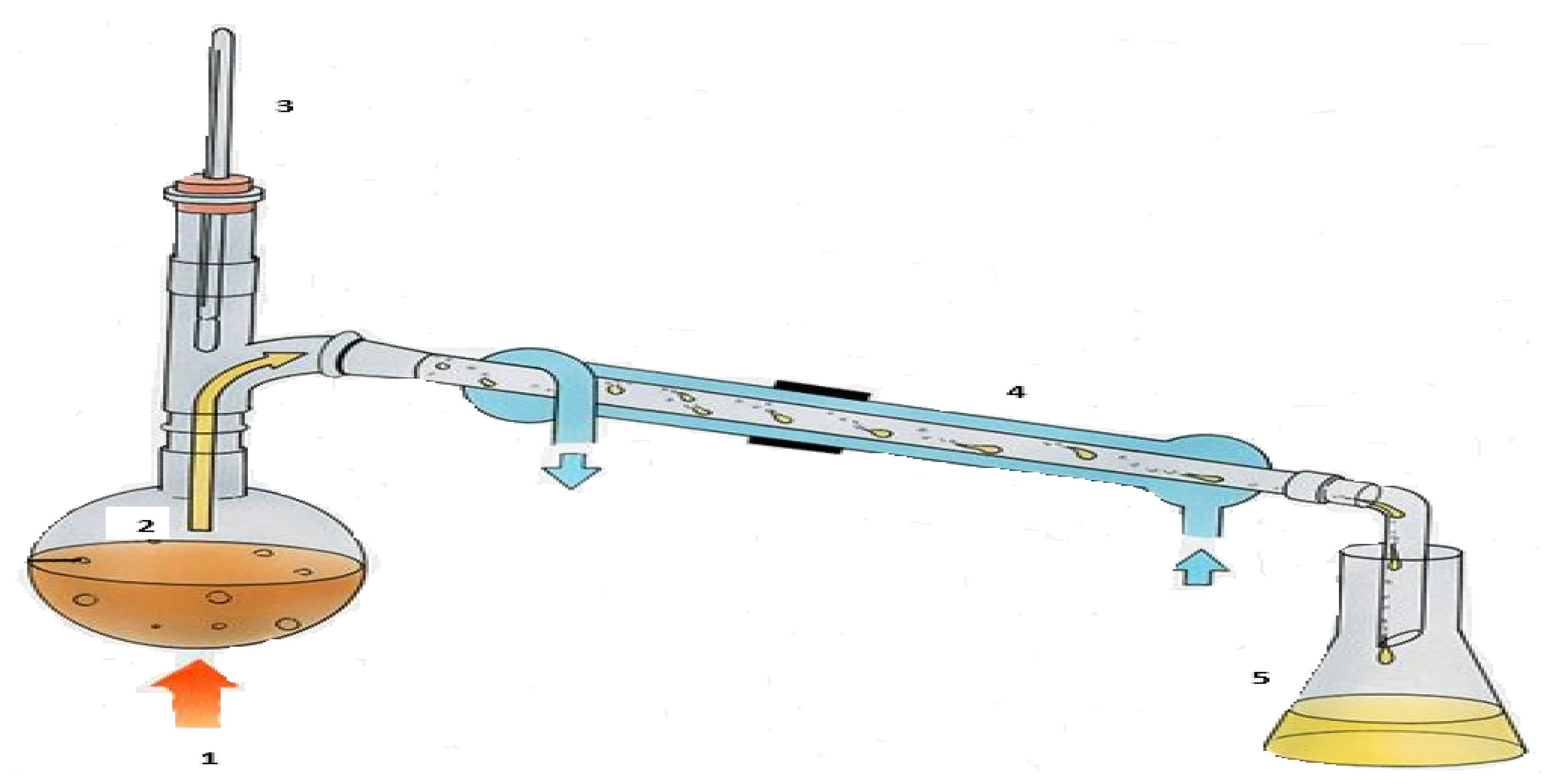 Recycling 05 00029 g004 Recycling 05 00029 g004
