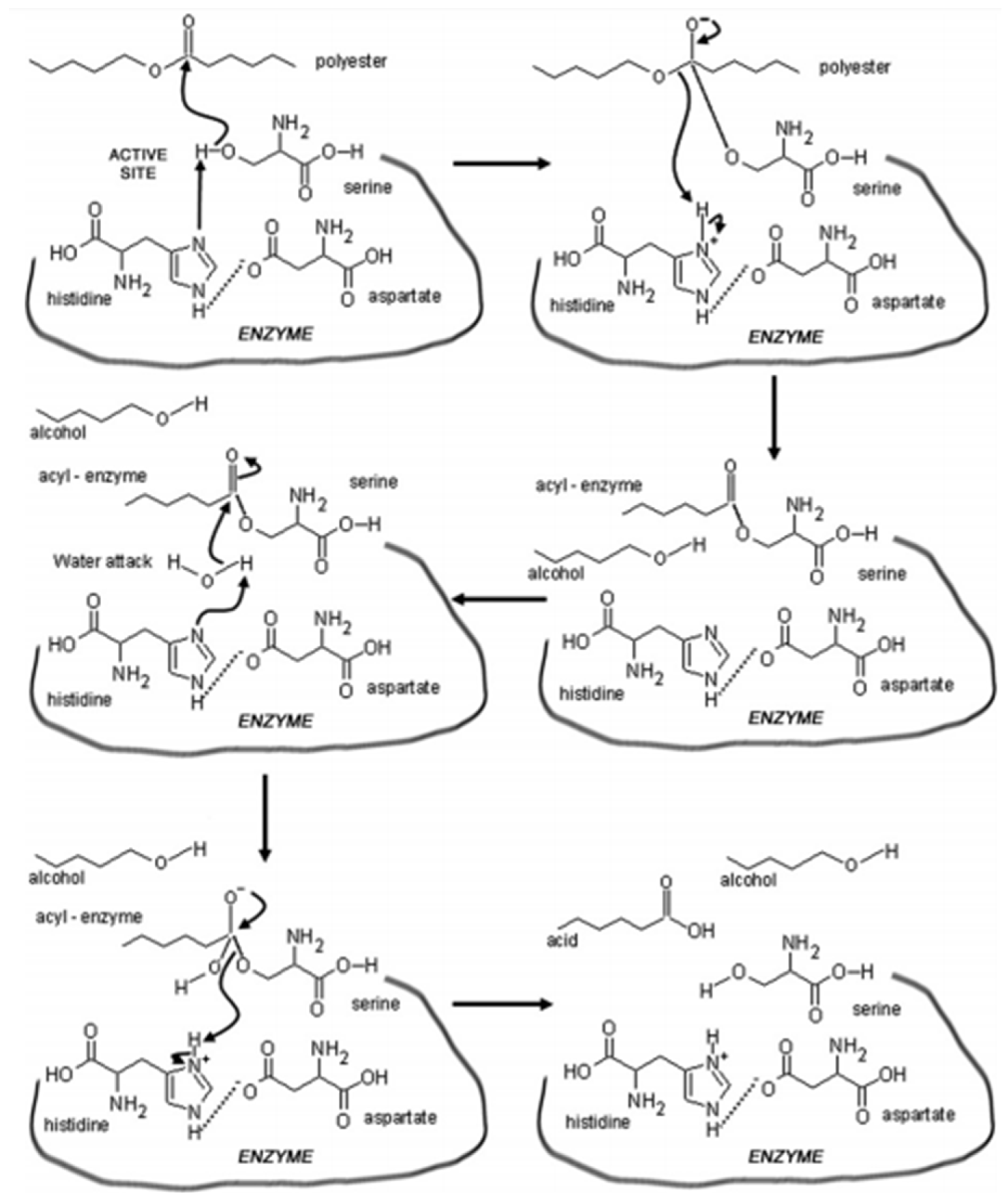 Recycling 06 00022 g001 Recycling 06 00022 g001
