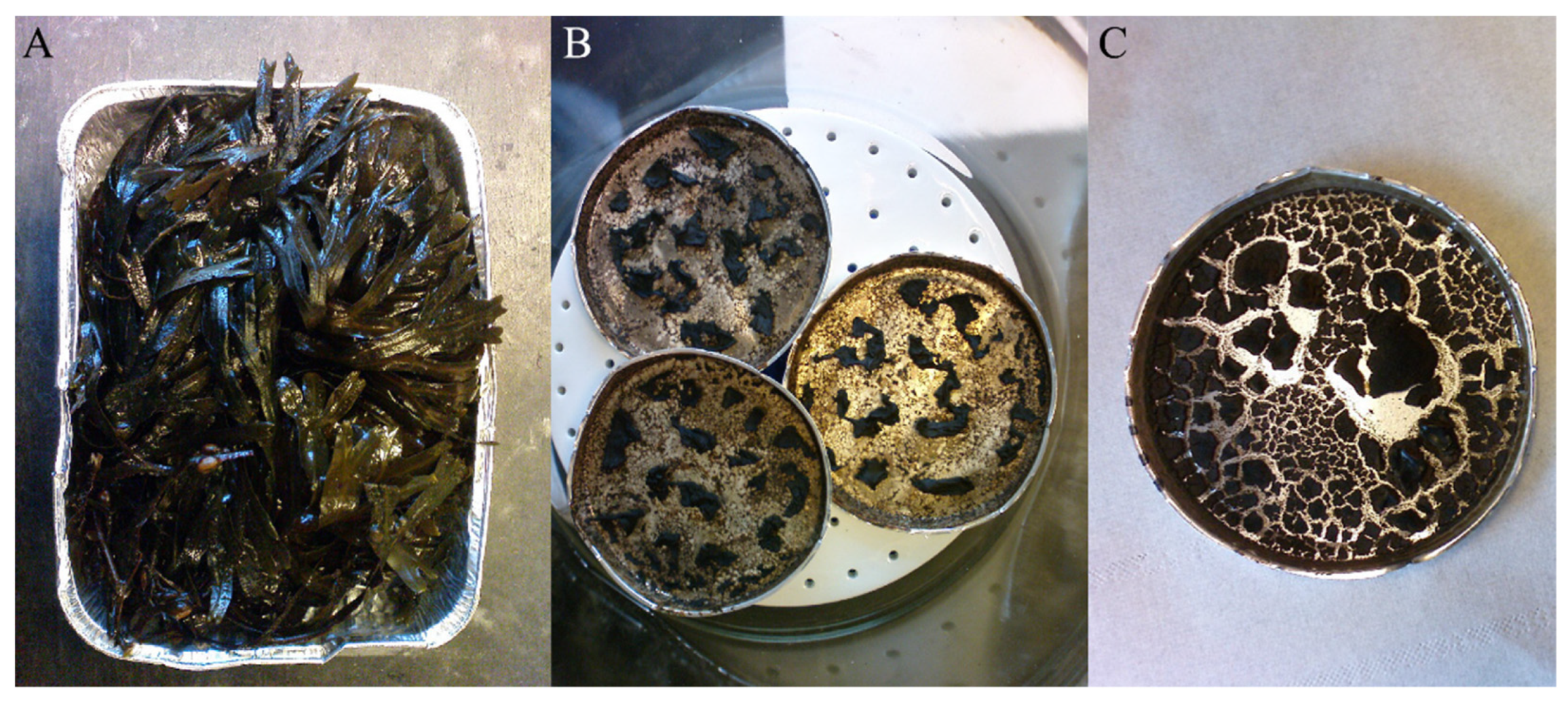 Recycling 06 00045 g007 550