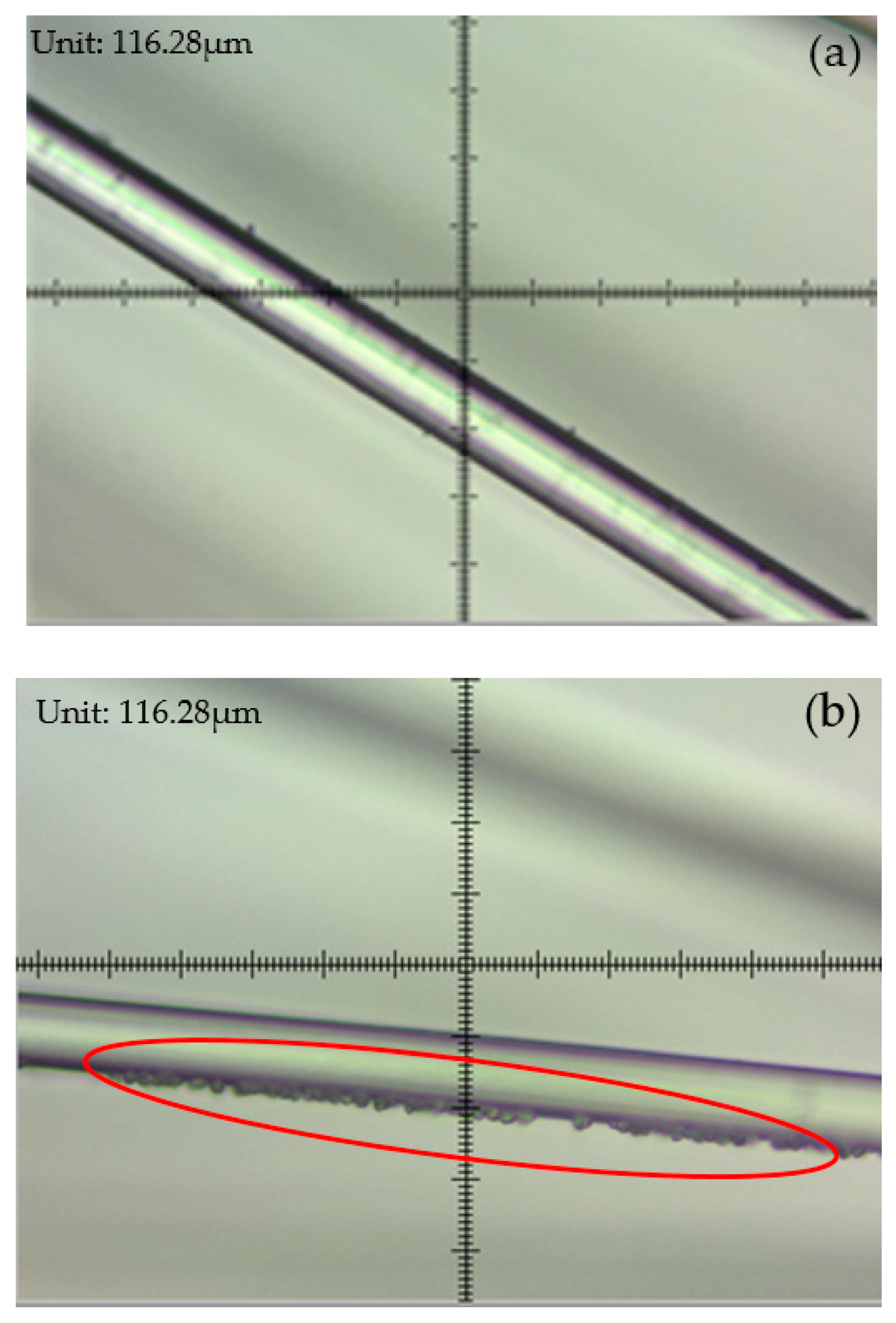 Recycling 06 00079 g001a 550