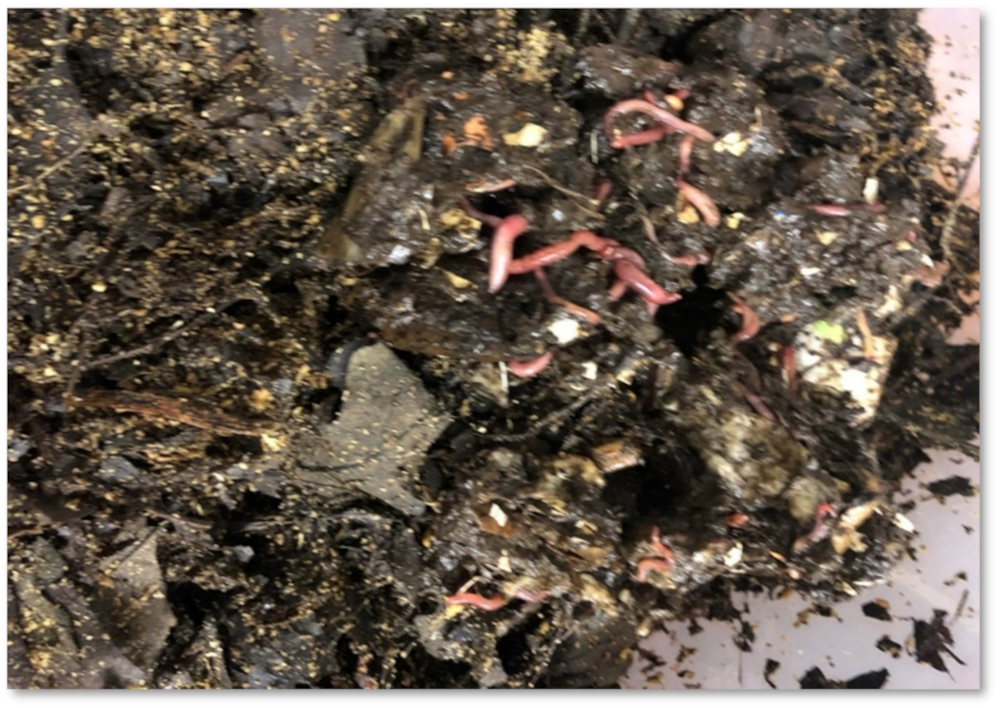 Recycling 07 00010 g004 550