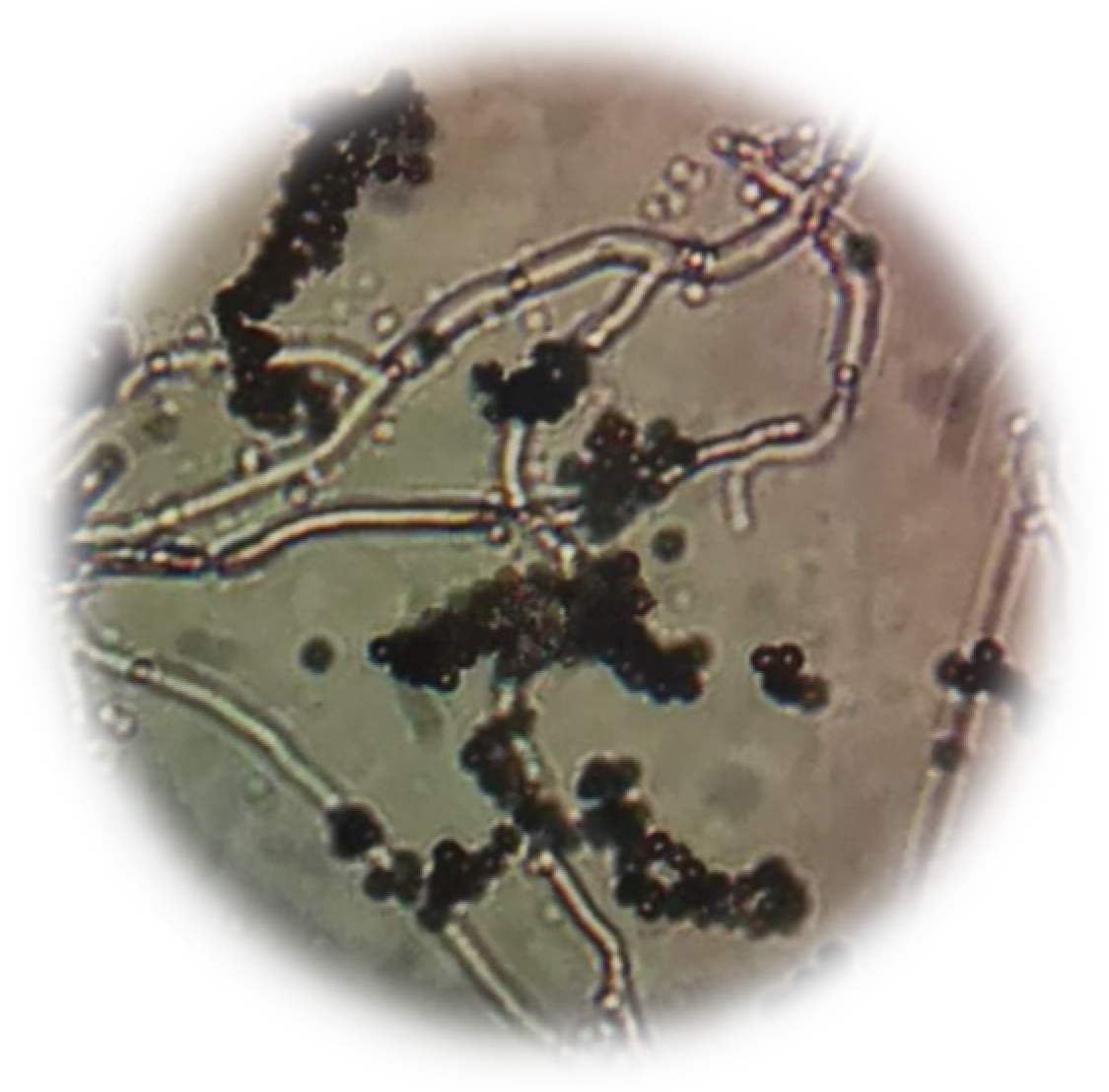 Recycling 07 00034 g003