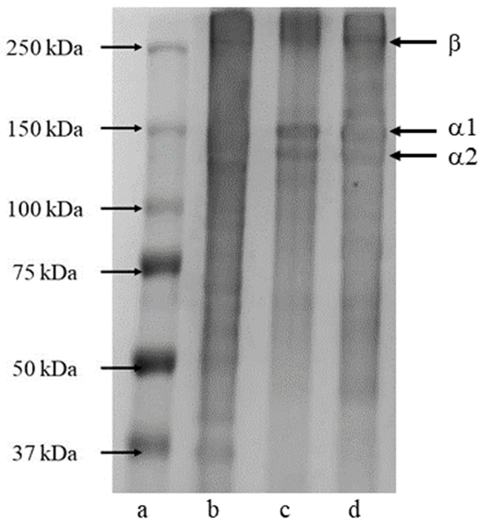 Recycling 08 00030 g005