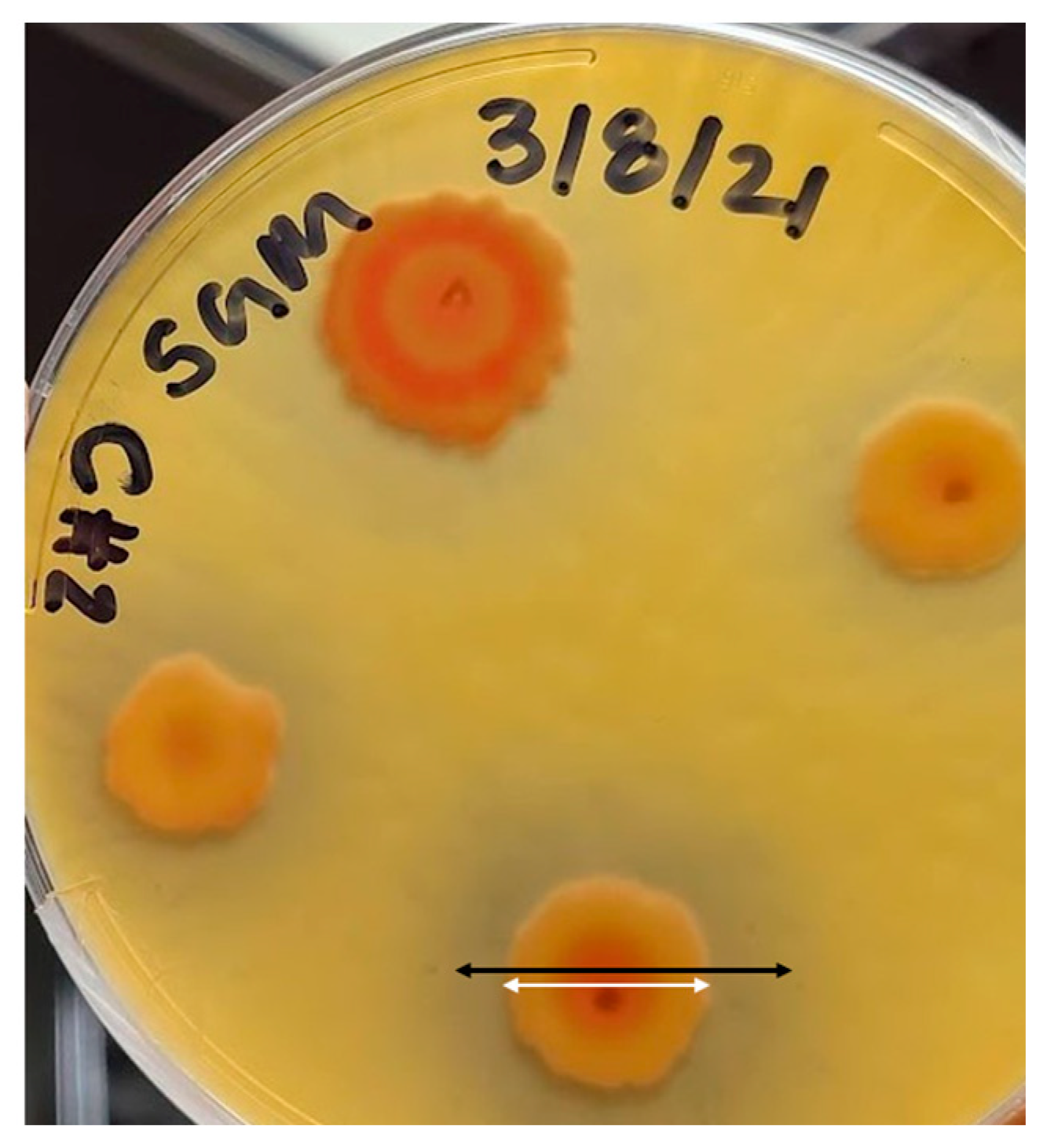 Recycling 08 00068 g002 Recycling 08 00068 g002